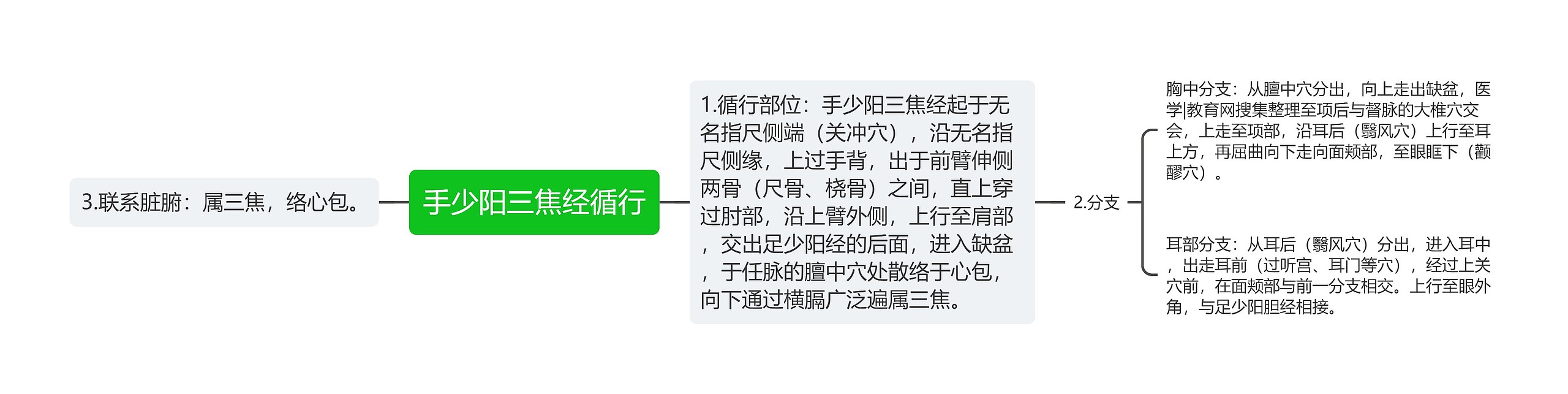 手少阳三焦经循行