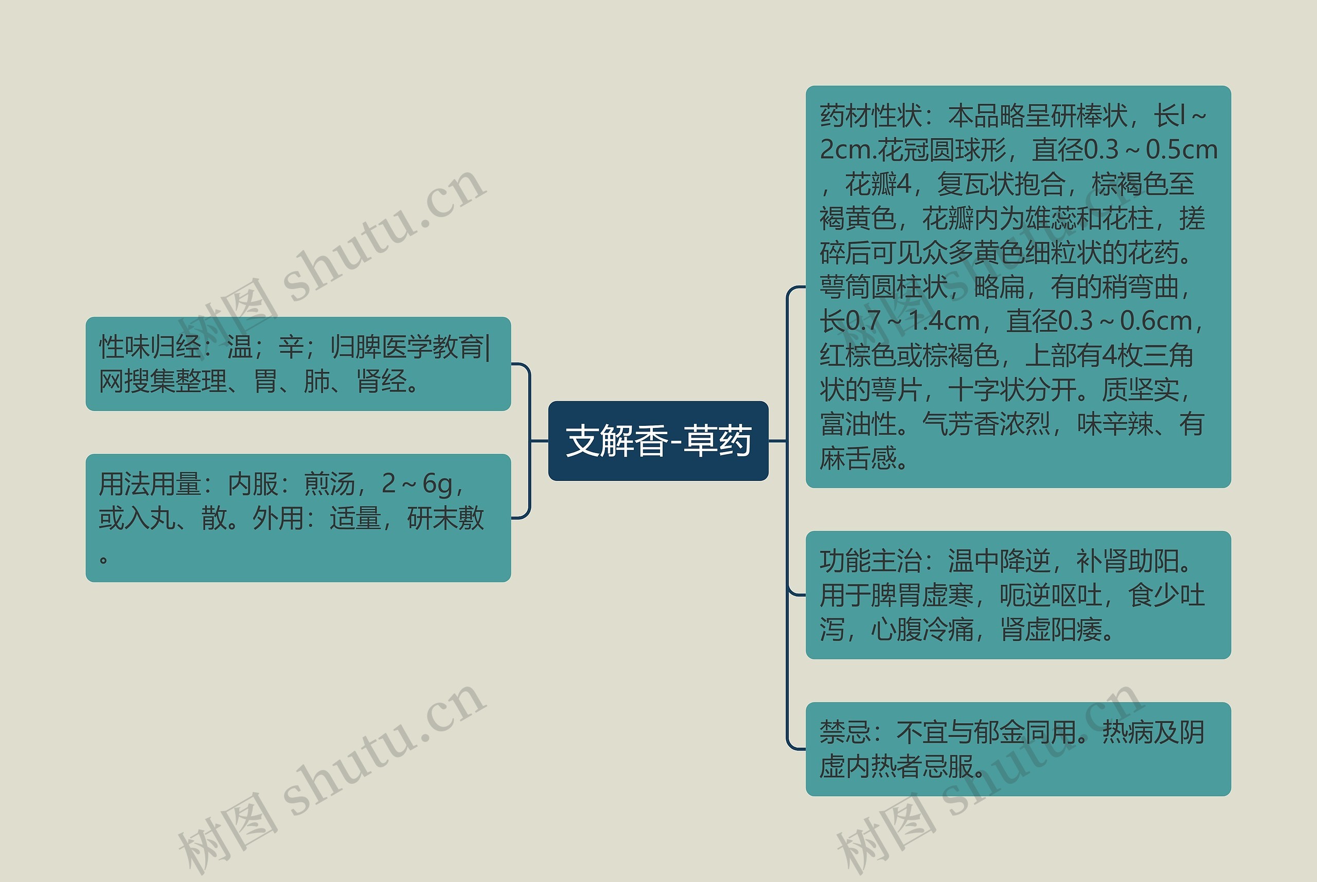 支解香-草药思维导图