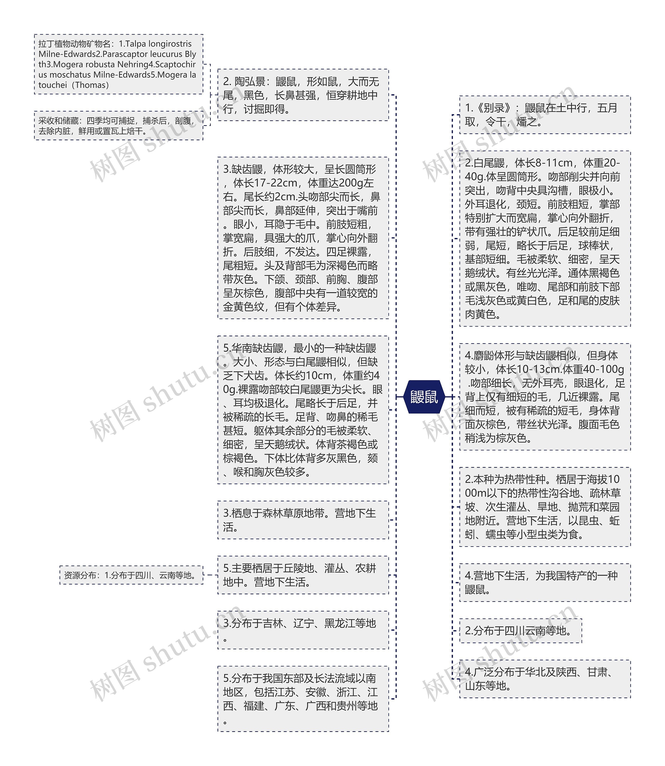 鼹鼠思维导图