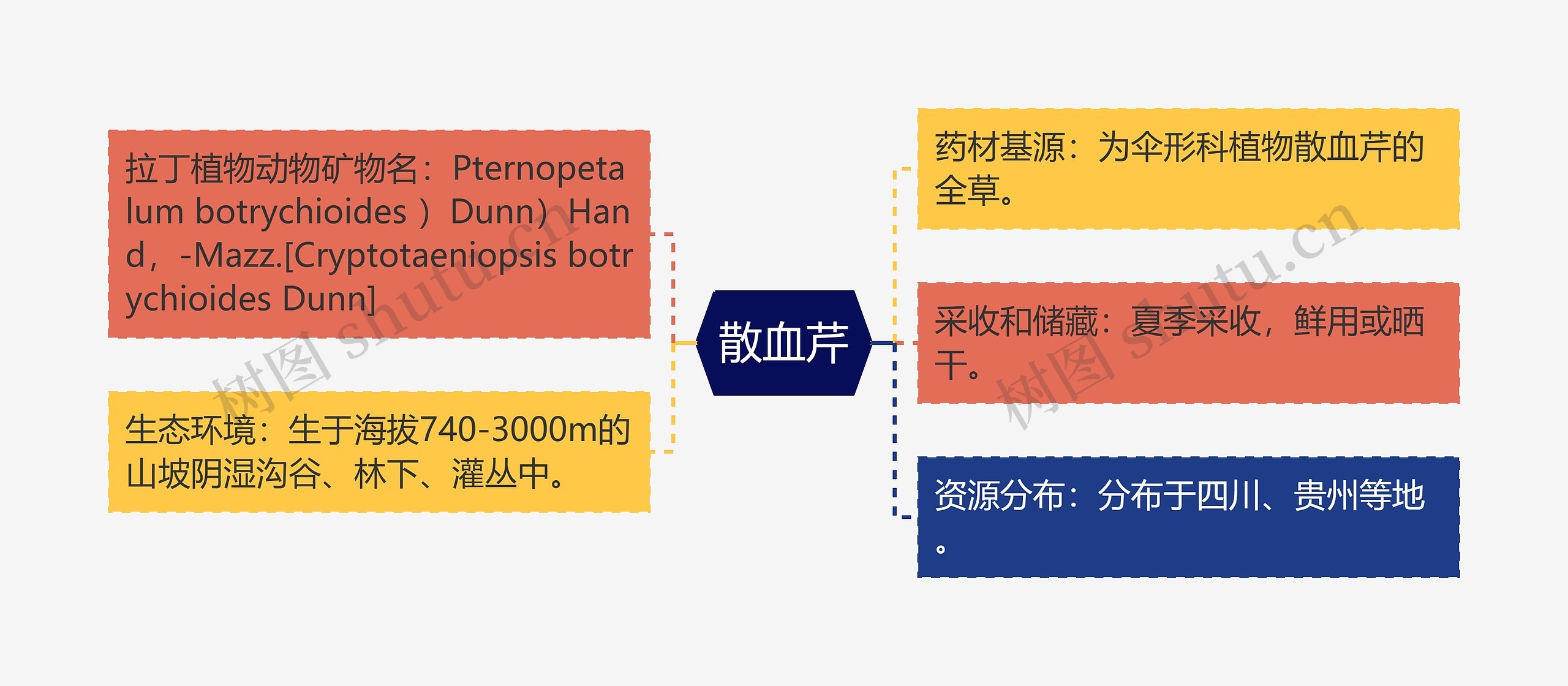 散血芹思维导图