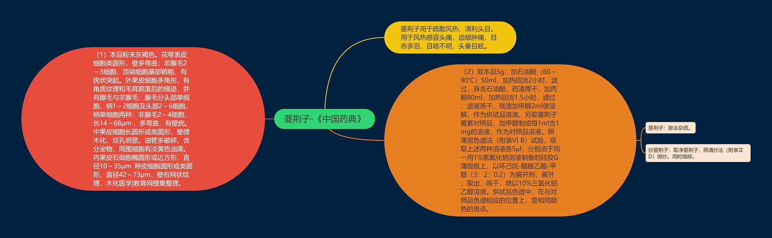 蔓荆子-《中国药典》 蔓荆子-《中国药典》