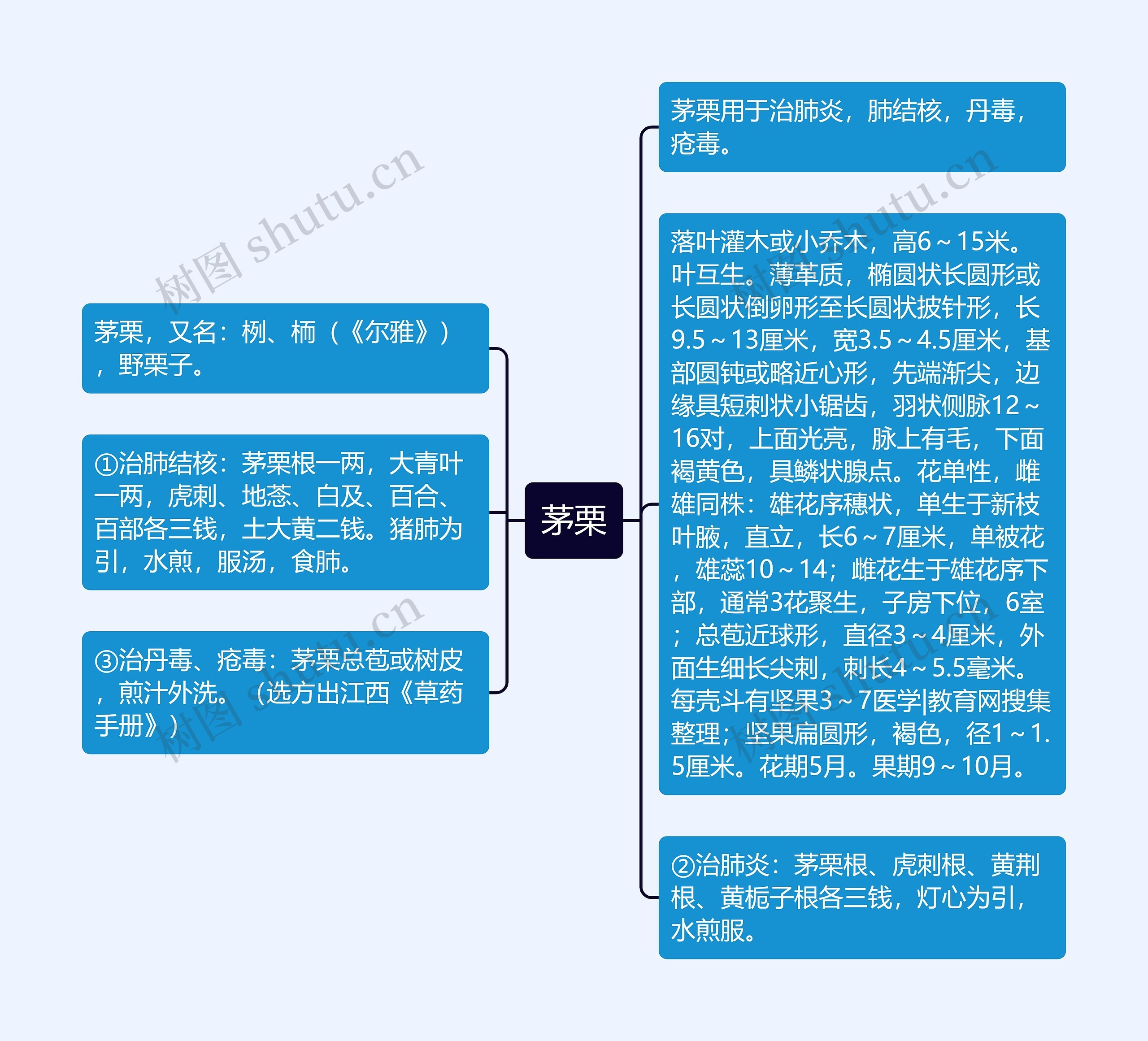 茅栗思维导图