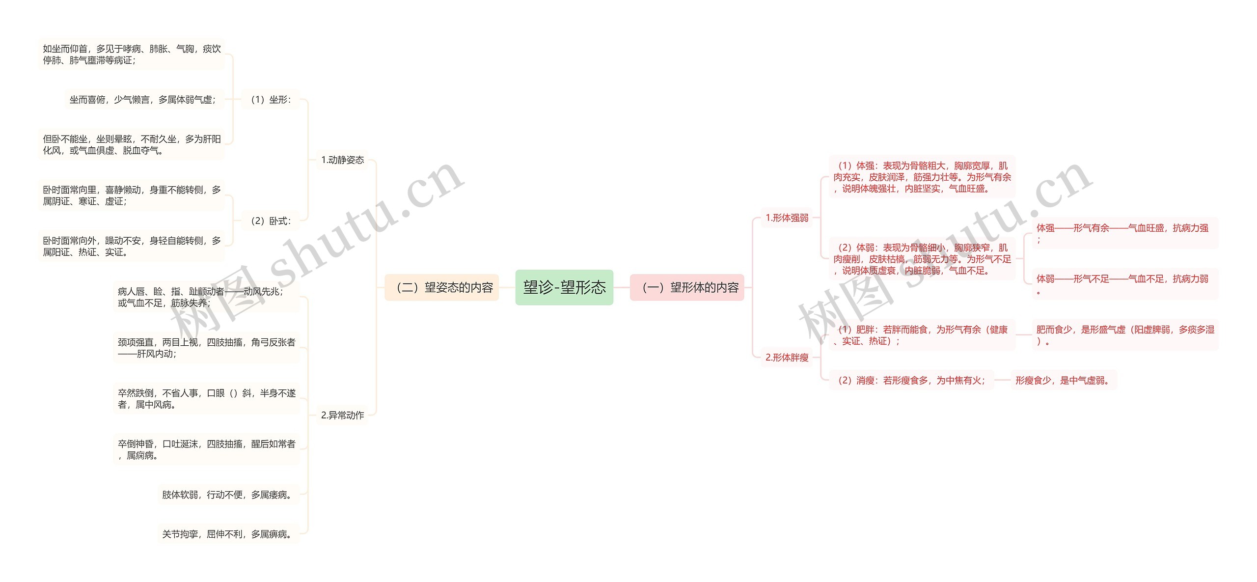 望诊-望形态 望诊-望形态