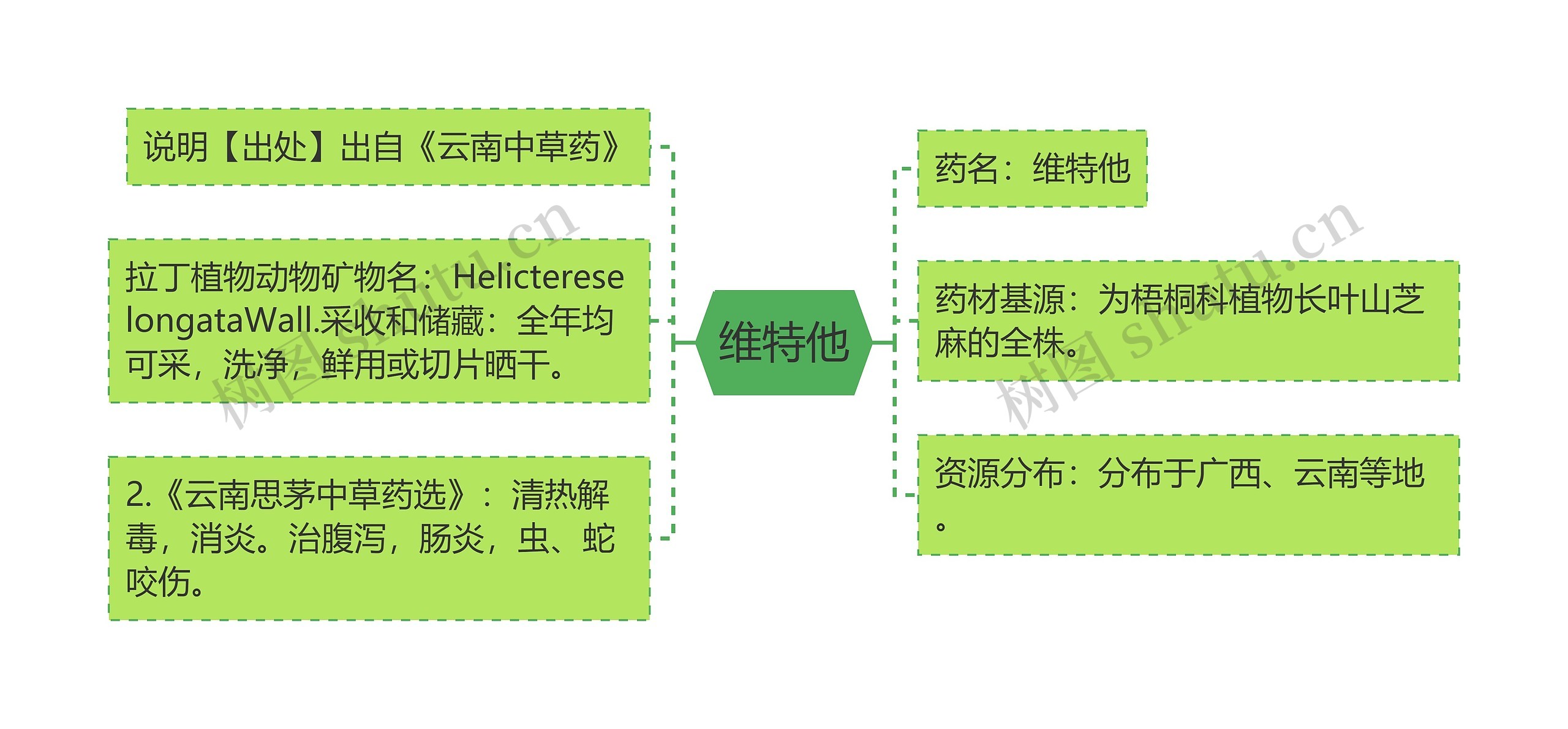 维特他思维导图