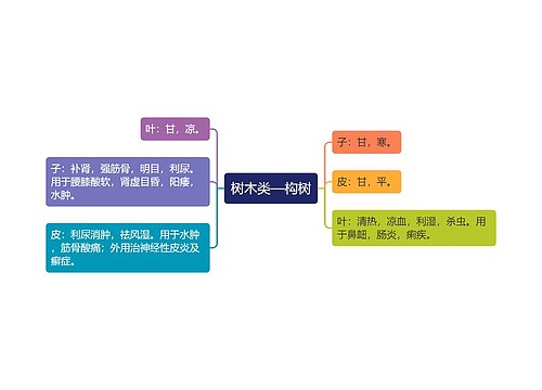 树木类—构树思维导图