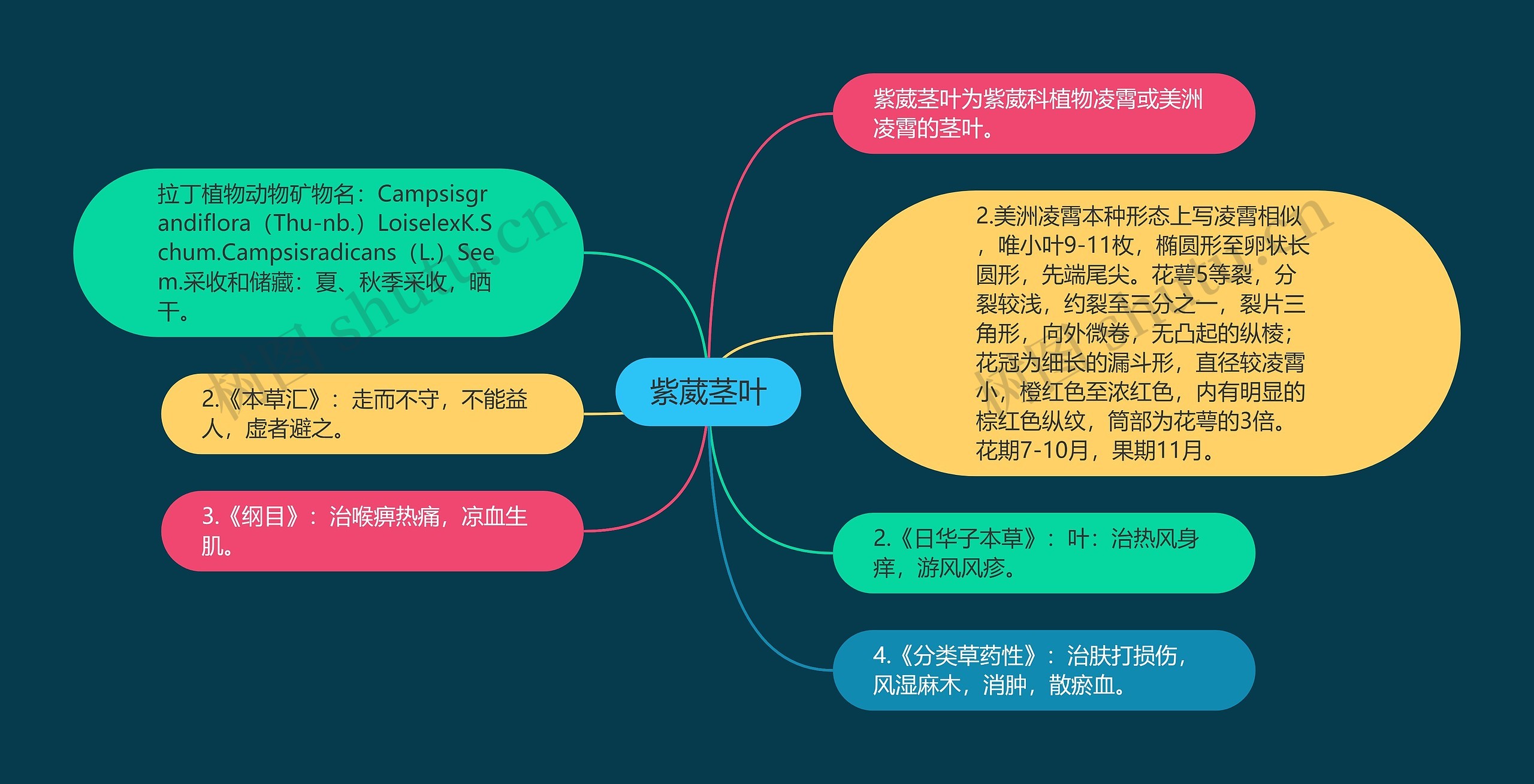 紫葳茎叶思维导图