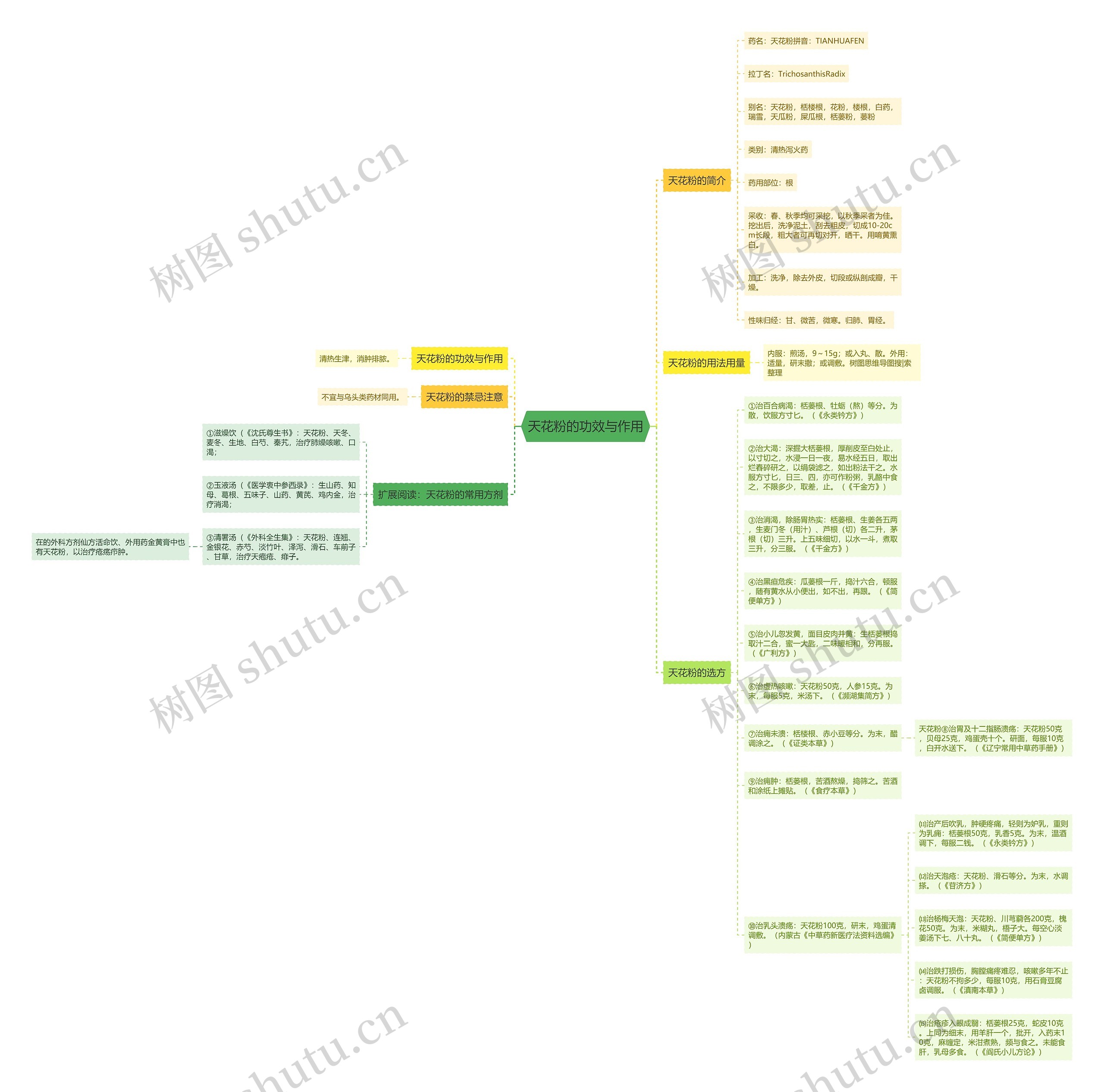 天花粉的功效与作用思维导图