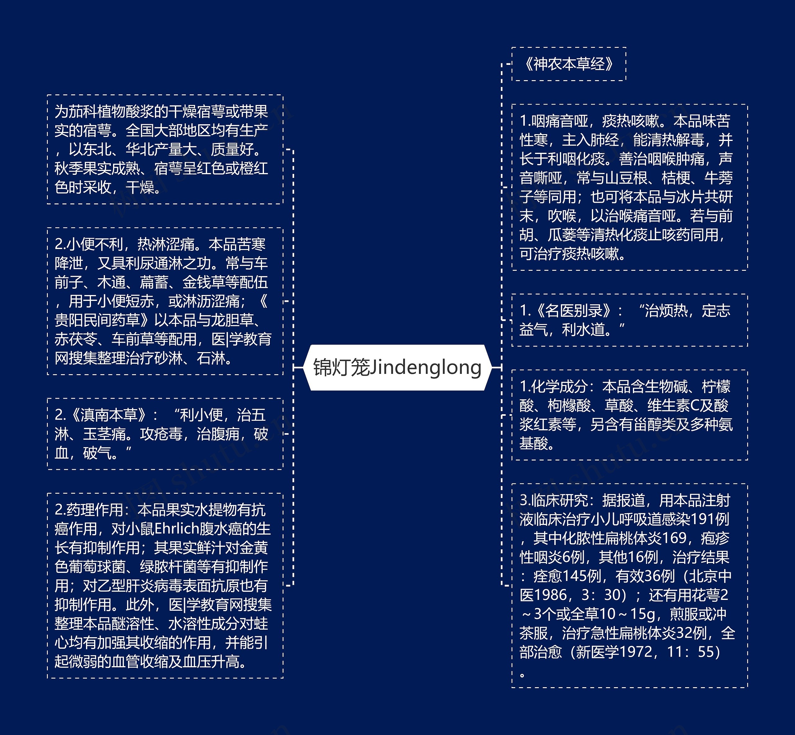 锦灯笼Jindenglong思维导图