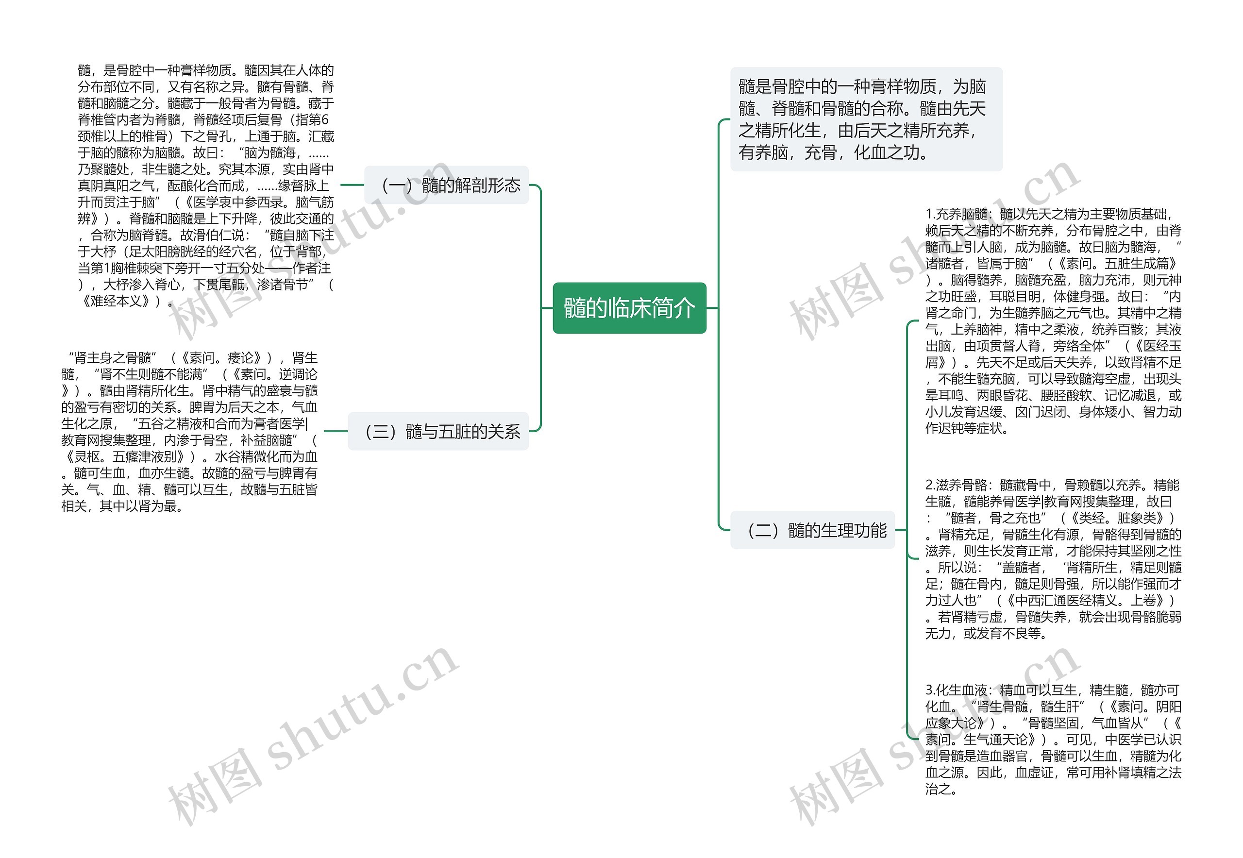 髓的临床简介思维导图