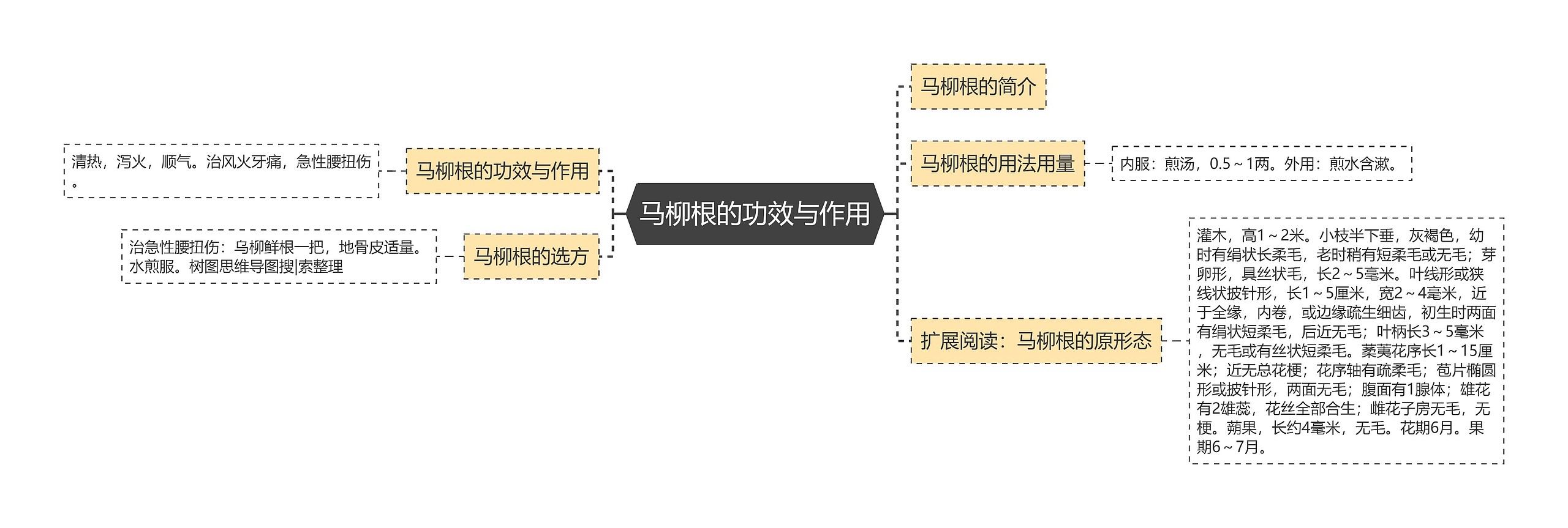 马柳根的功效与作用思维导图