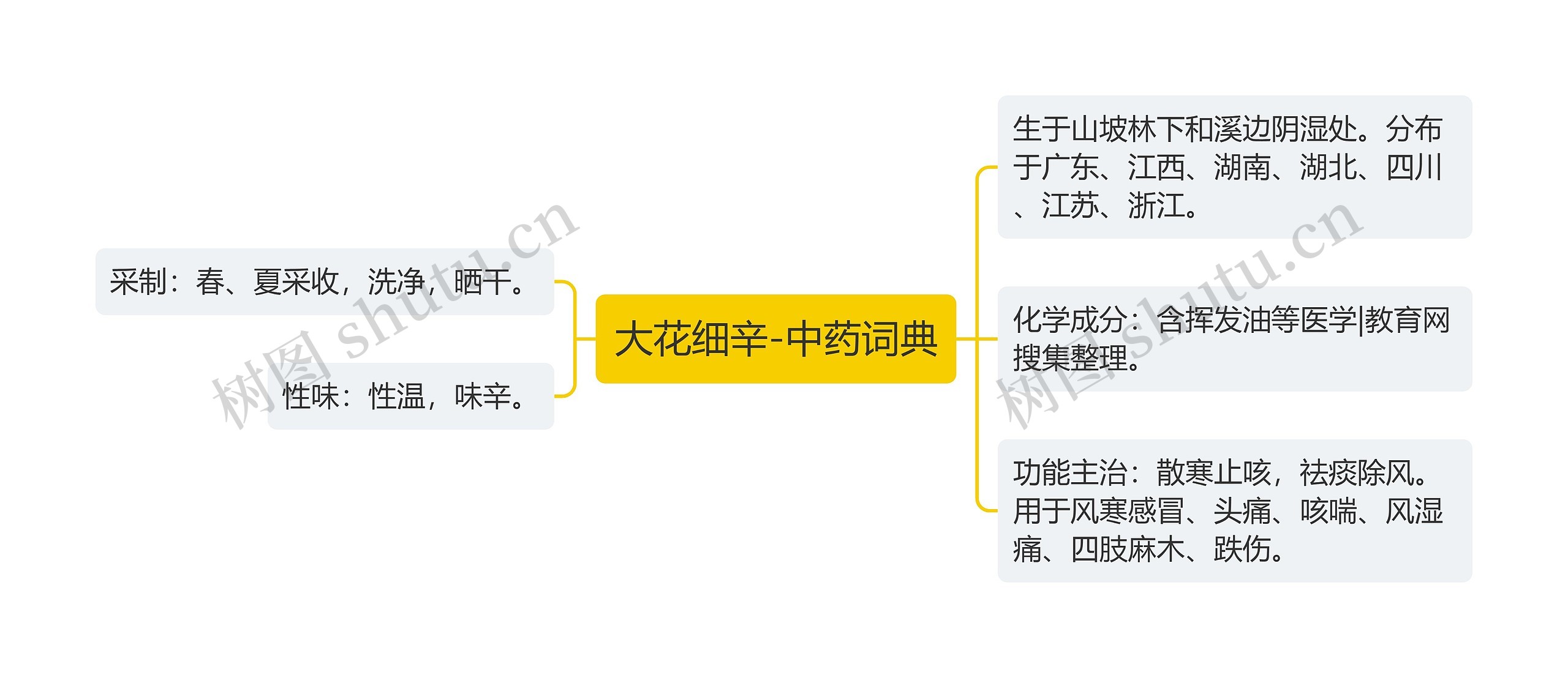 大花细辛-中药词典思维导图