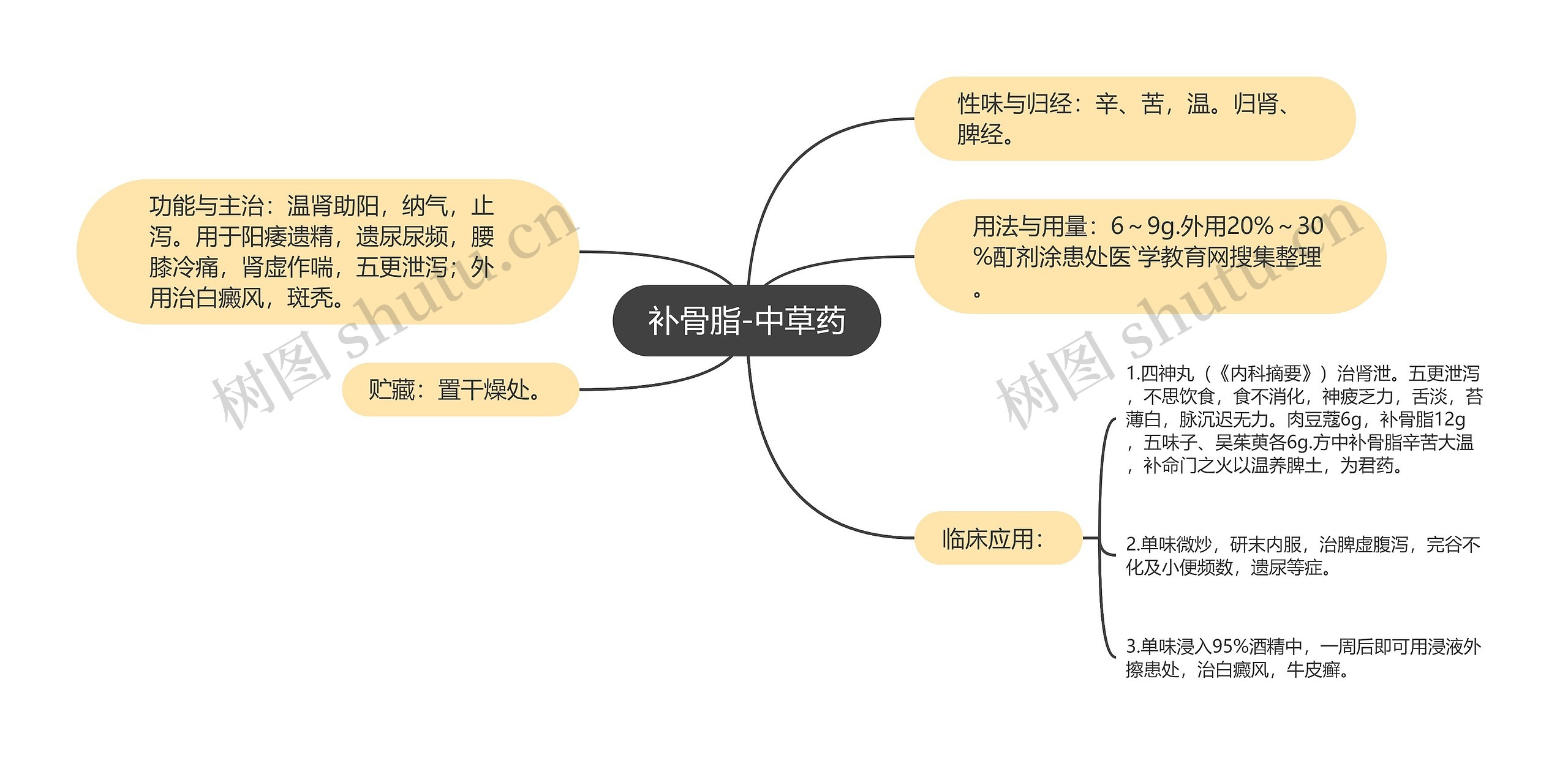 补骨脂-中草药思维导图