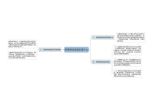 损害赔偿金指的是什么