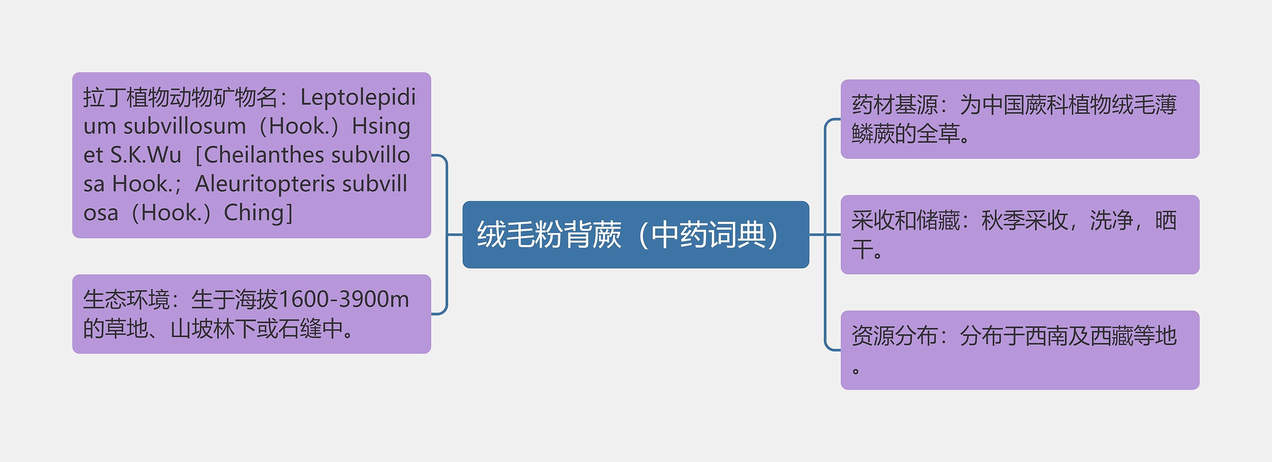 绒毛粉背蕨（中药词典）