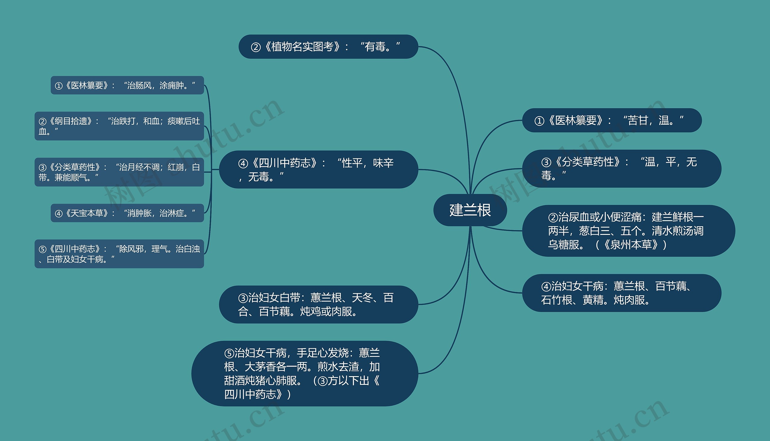 建兰根思维导图