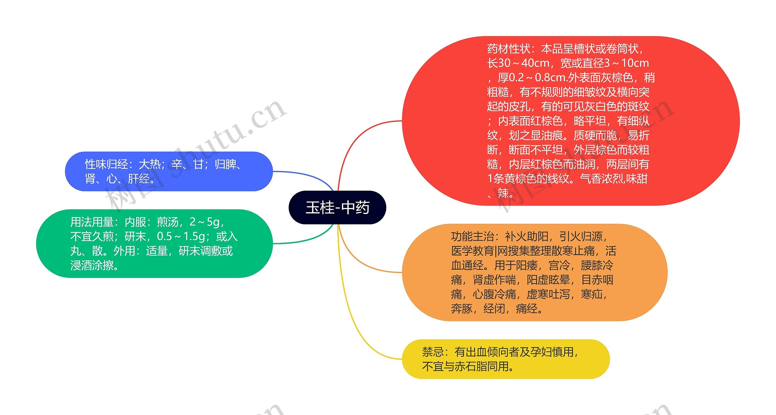 玉桂-中药 玉桂-中药