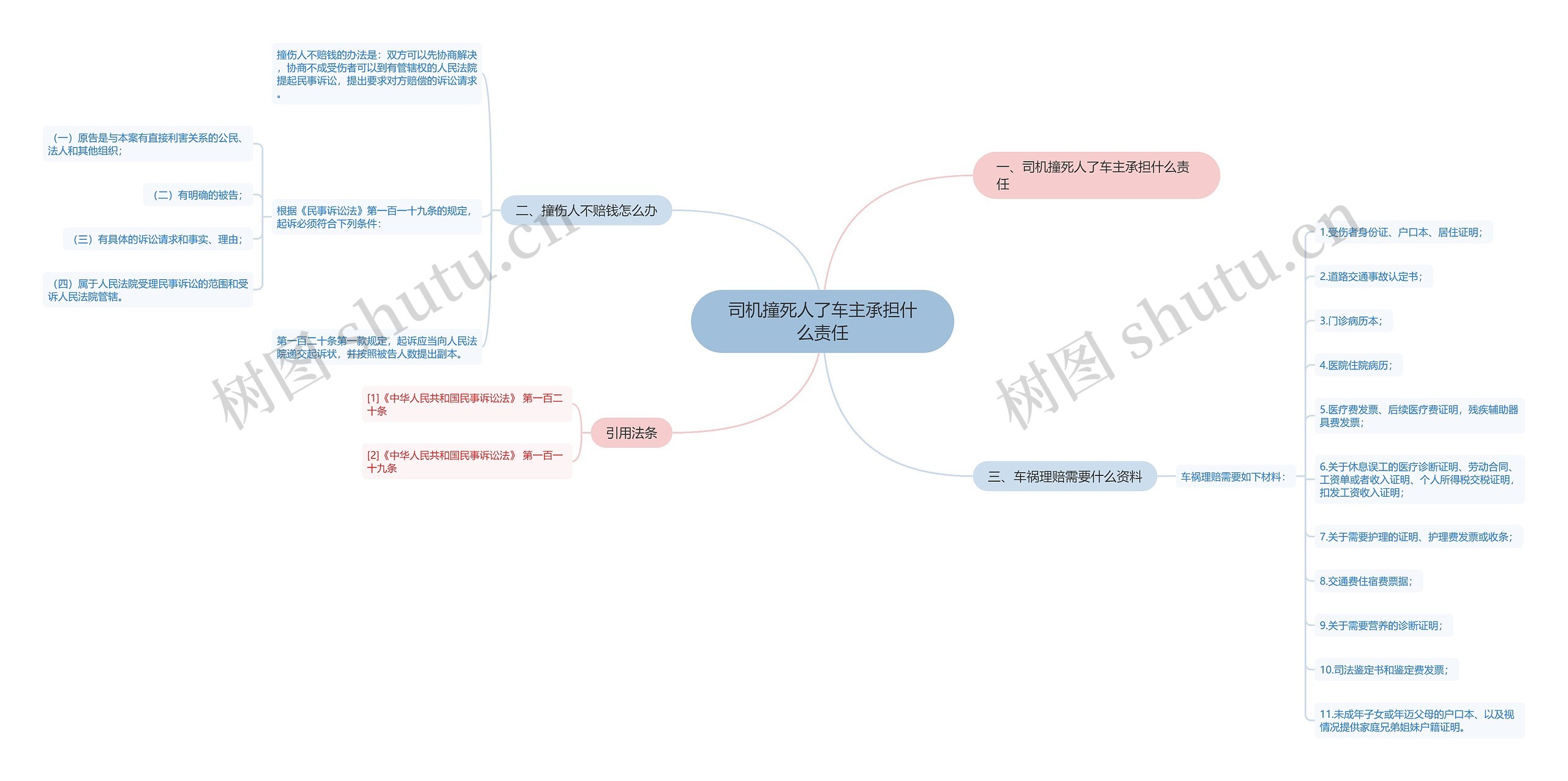 司机撞死人了车主承担什么责任思维导图