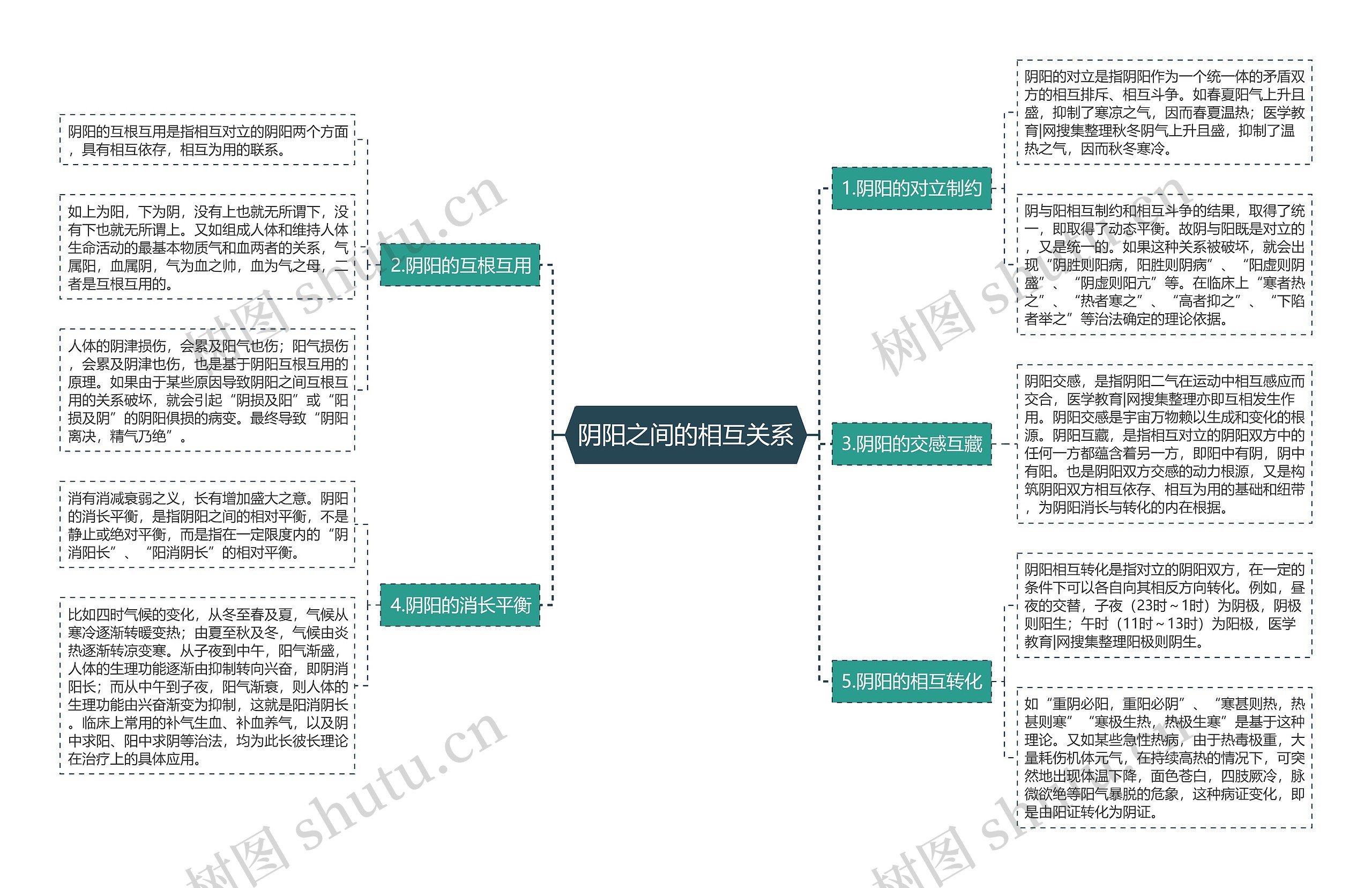 阴阳之间的相互关系思维导图