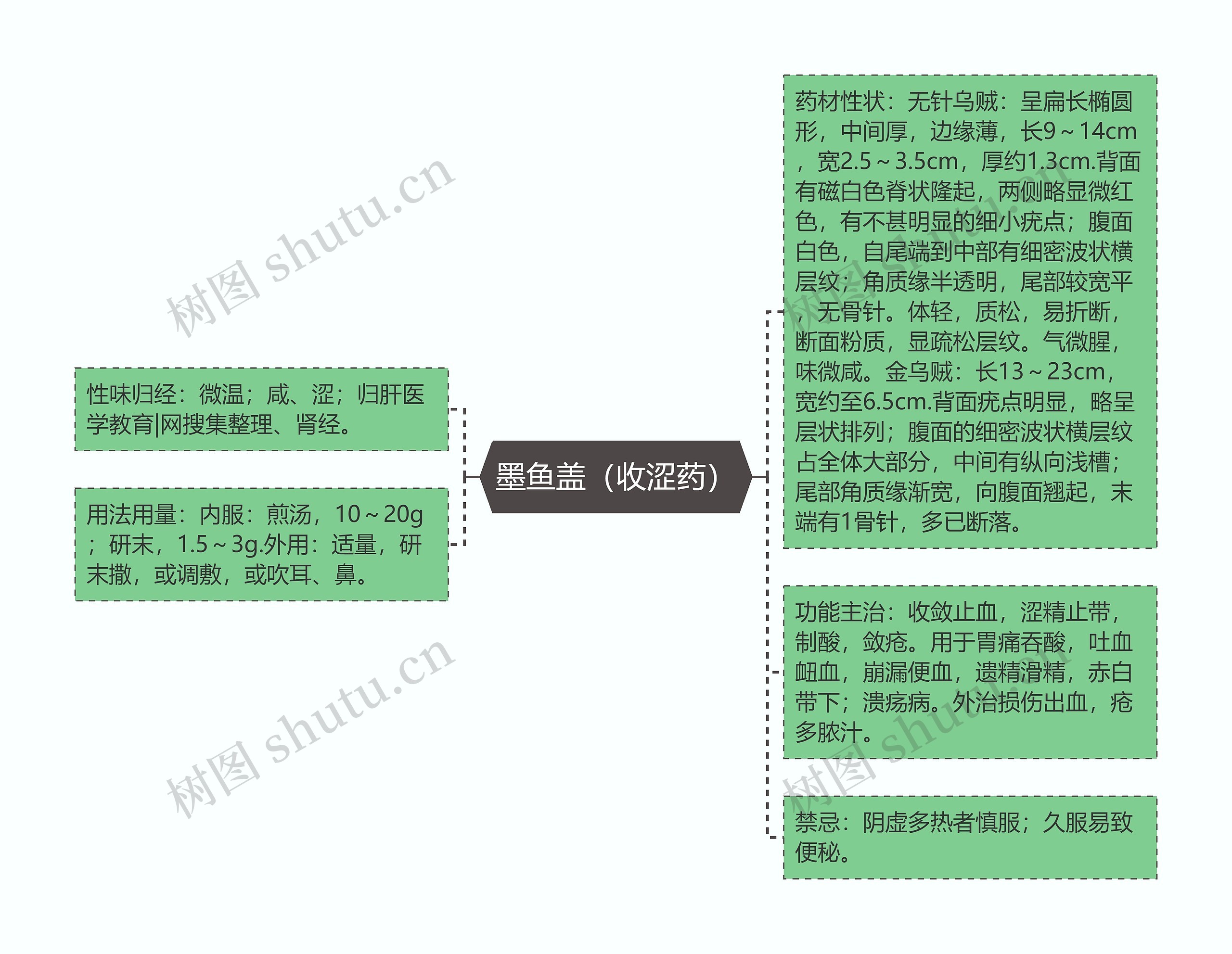 墨鱼盖（收涩药）思维导图