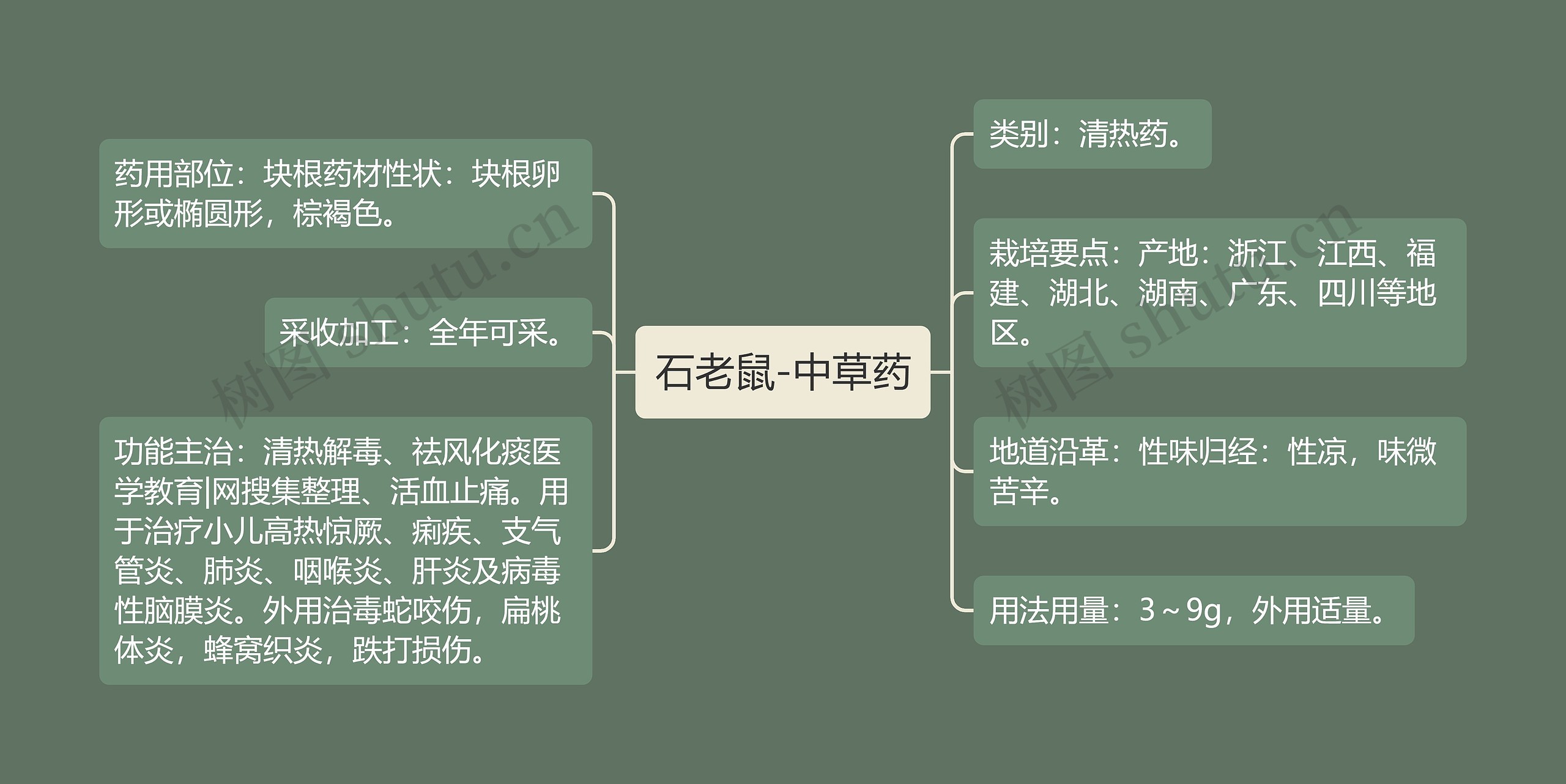 石老鼠-中草药思维导图