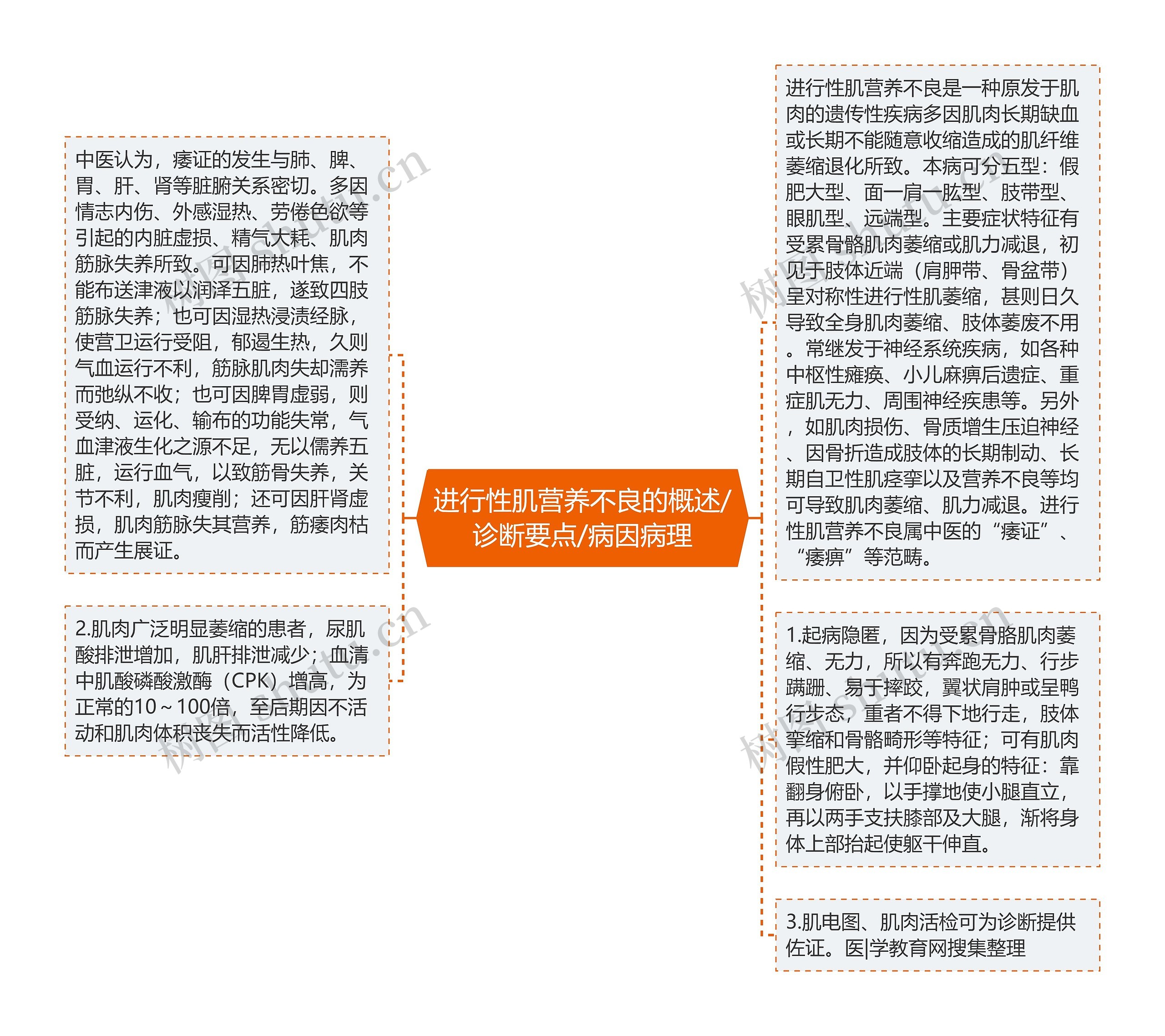 进行性肌营养不良的概述/诊断要点/病因病理思维导图