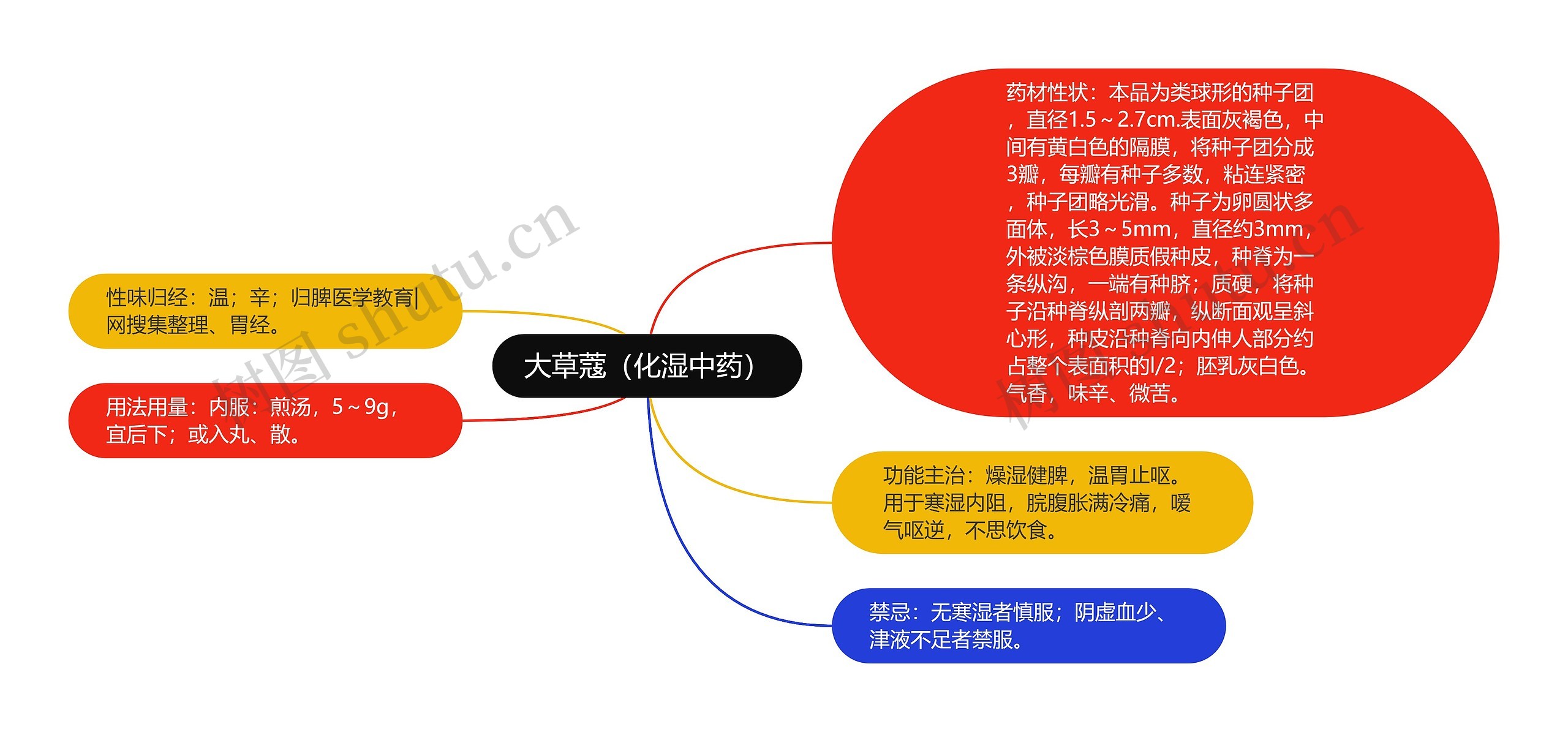 大草蔻（化湿中药）思维导图