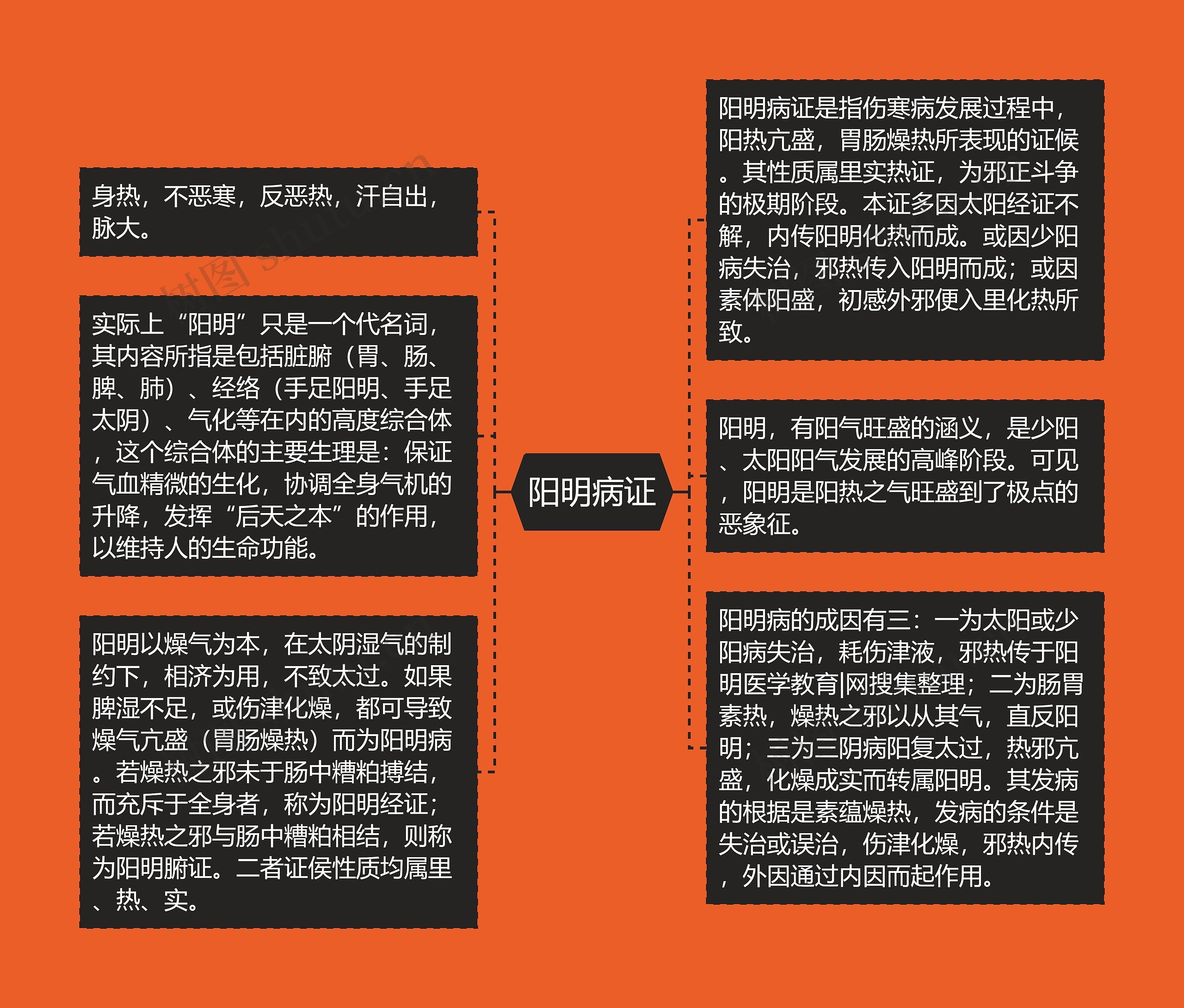 阳明病证 阳明病证