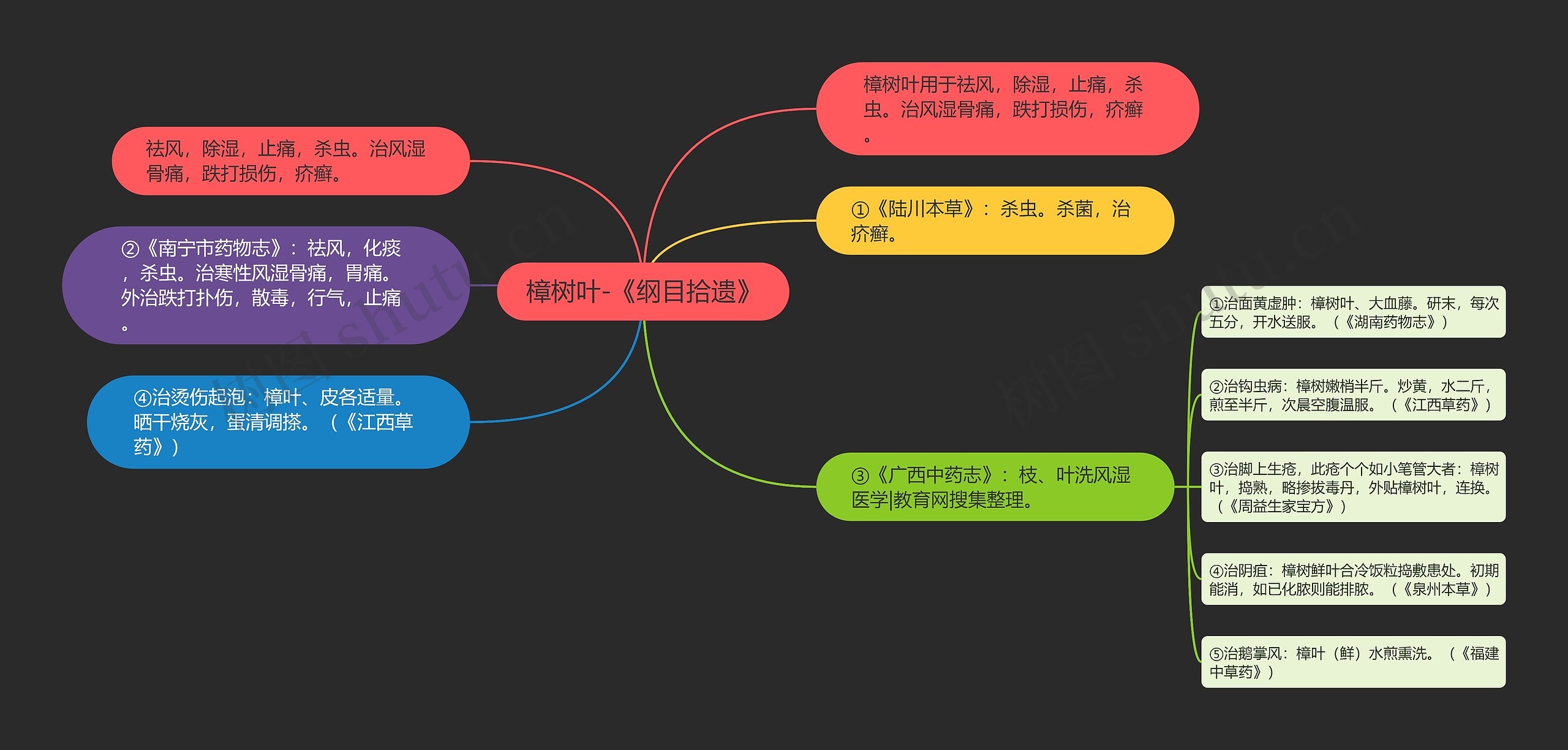 樟树叶-《纲目拾遗》思维导图