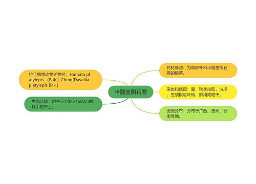 半圆盖阴石蕨