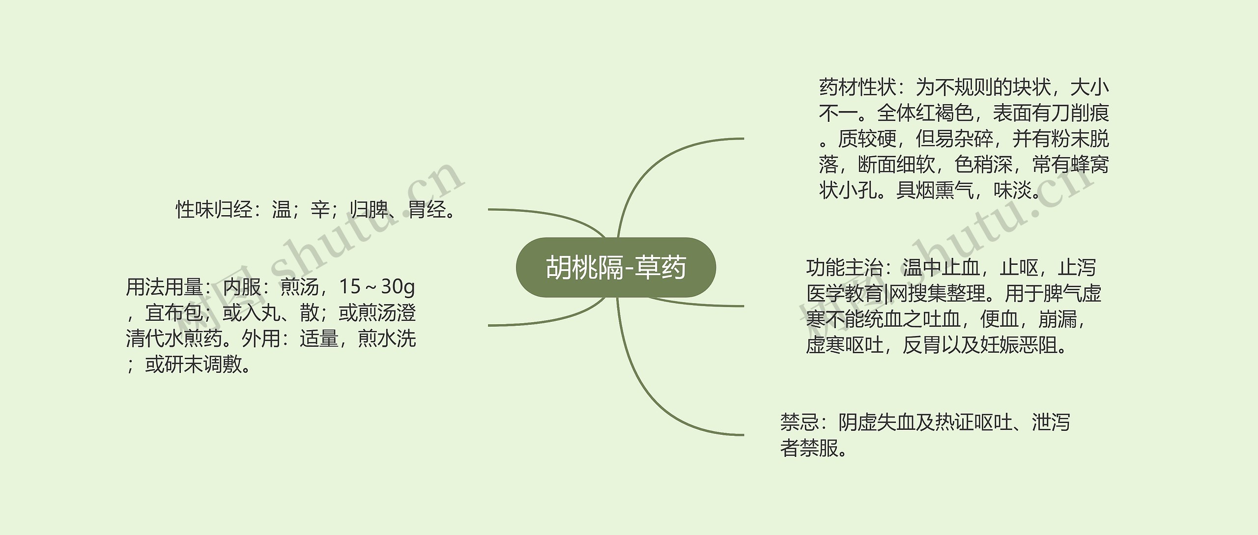 胡桃隔-草药 胡桃隔-草药