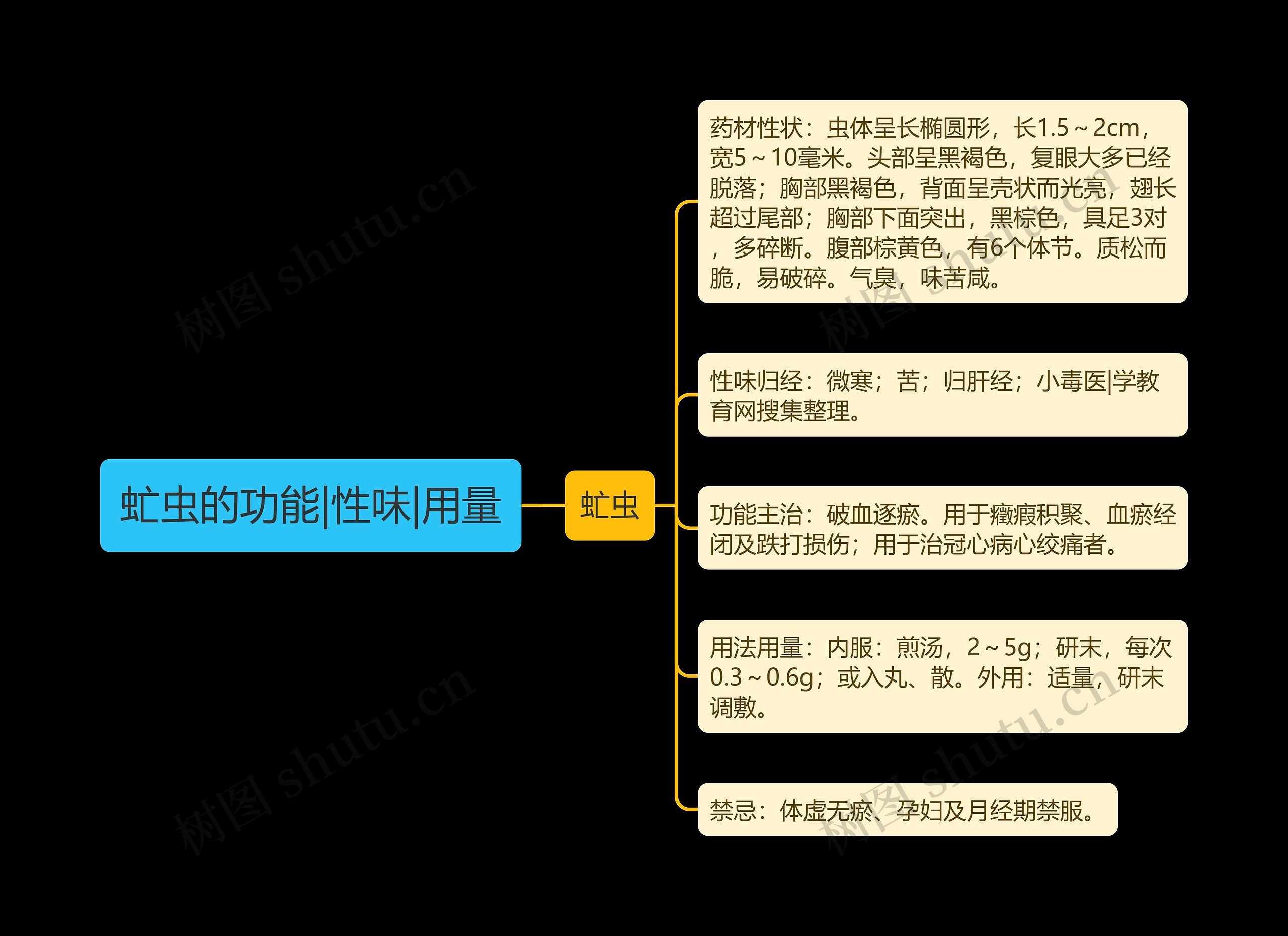 虻虫的功能|性味|用量思维导图