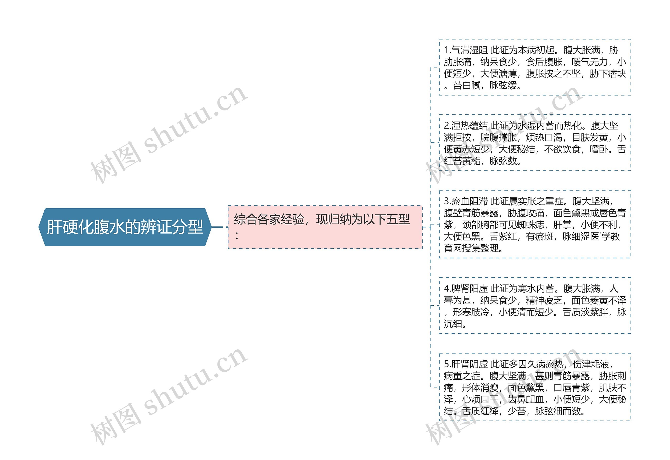 肝硬化腹水的辨证分型思维导图