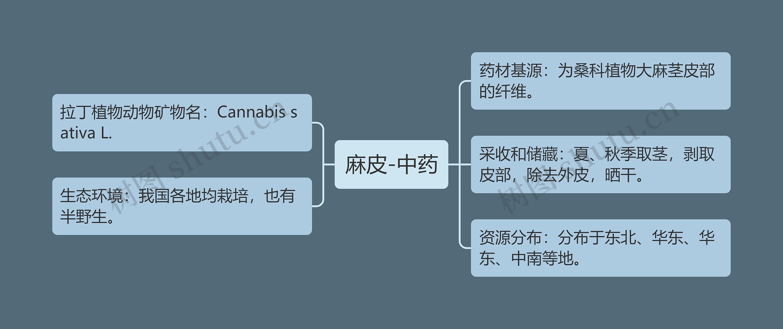 麻皮-中药思维导图