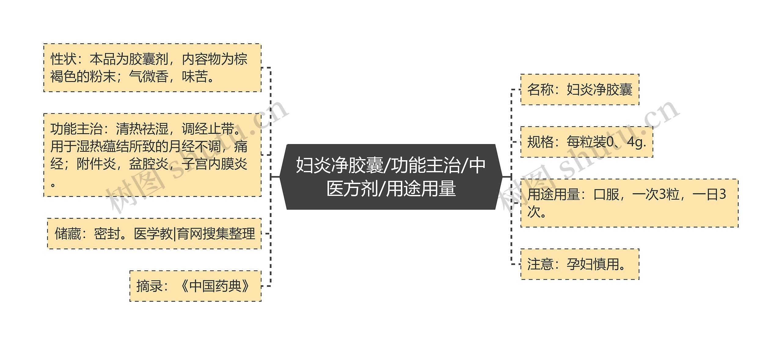 妇炎净胶囊/功能主治/中医方剂/用途用量思维导图