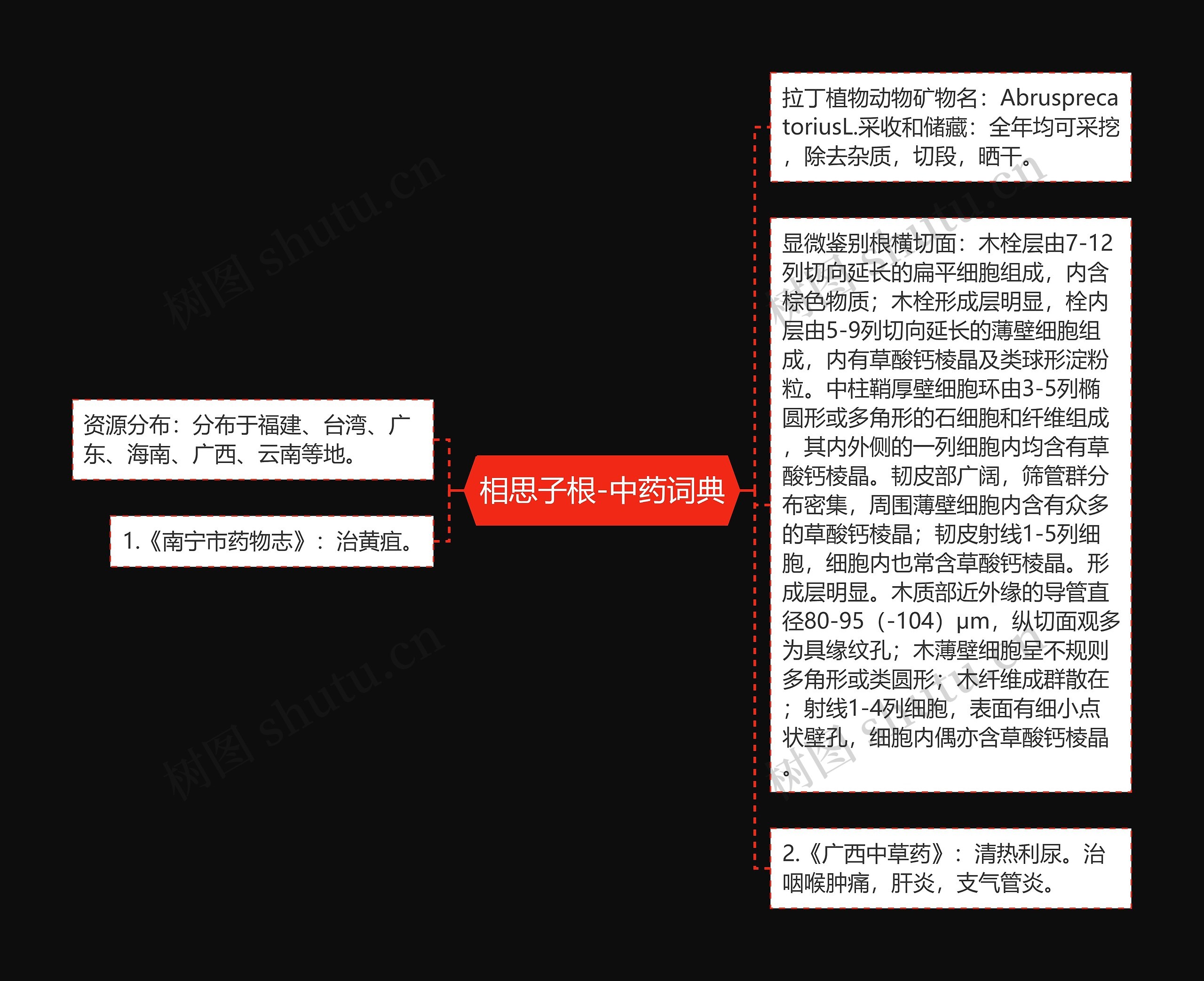 相思子根-中药词典思维导图