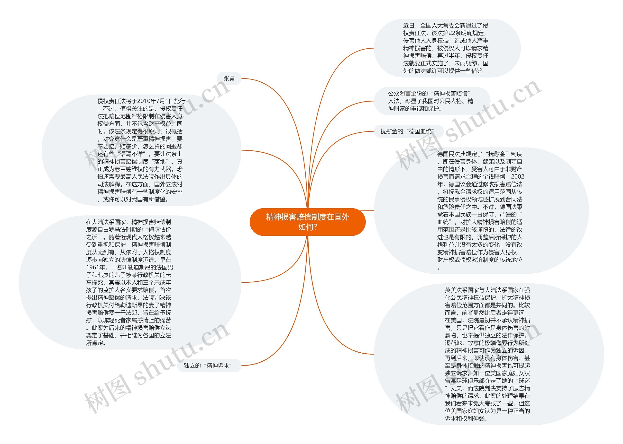 精神损害赔偿制度在国外如何?思维导图