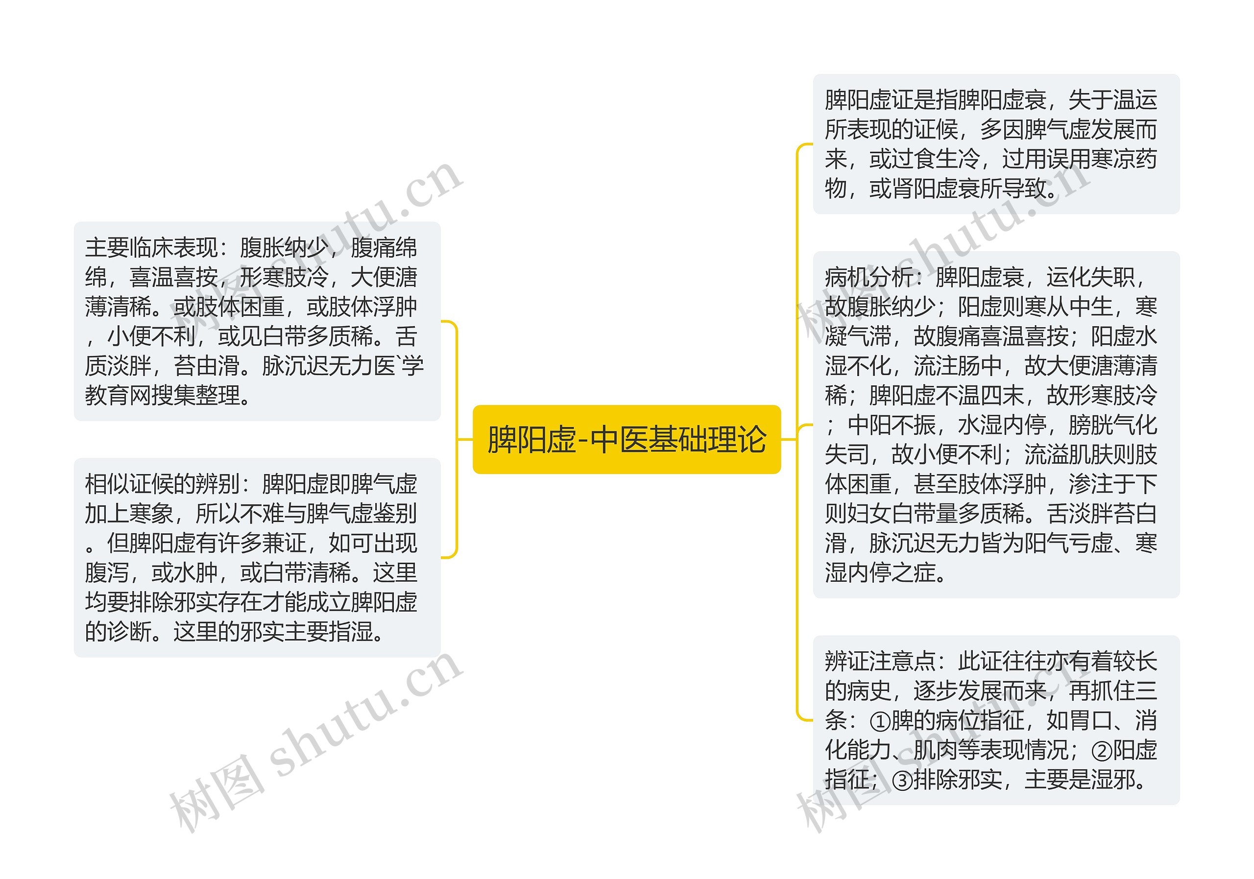 脾阳虚-中医基础理论