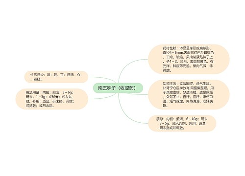 南五味子（收涩药）