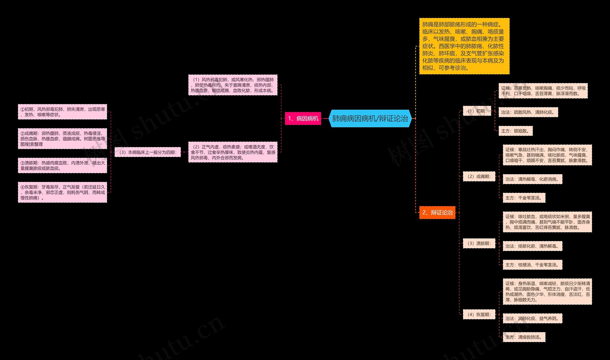 肺痈病因病机/辩证论治思维导图