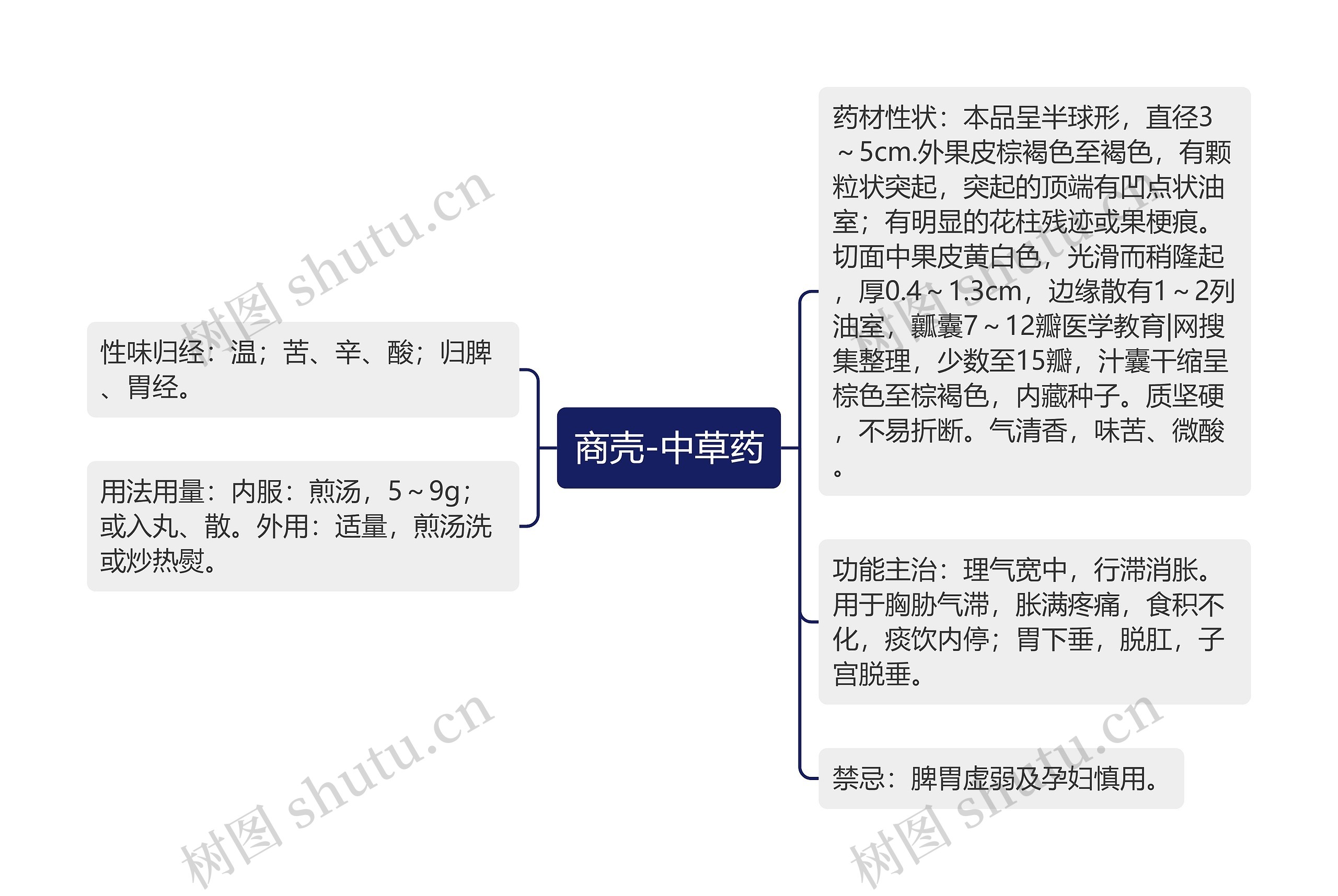 商壳-中草药思维导图