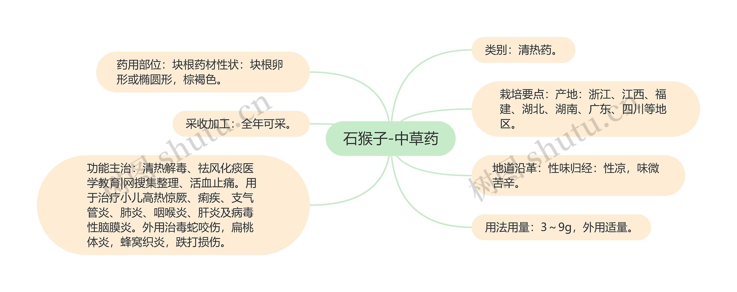 石猴子-中草药思维导图