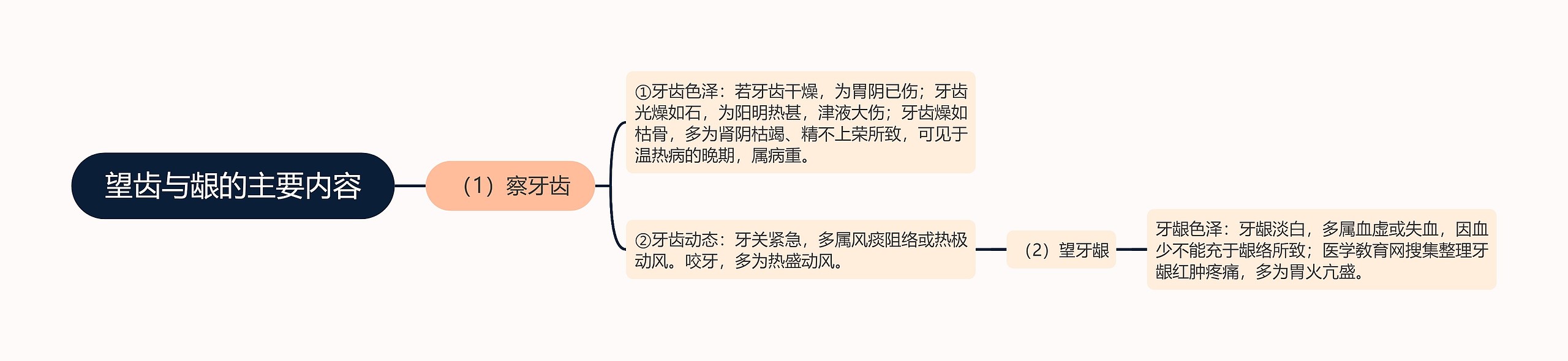望齿与龈的主要内容 望齿与龈的主要内容