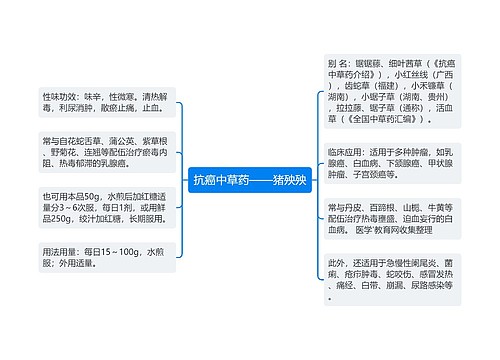 抗癌中草药——猪殃殃