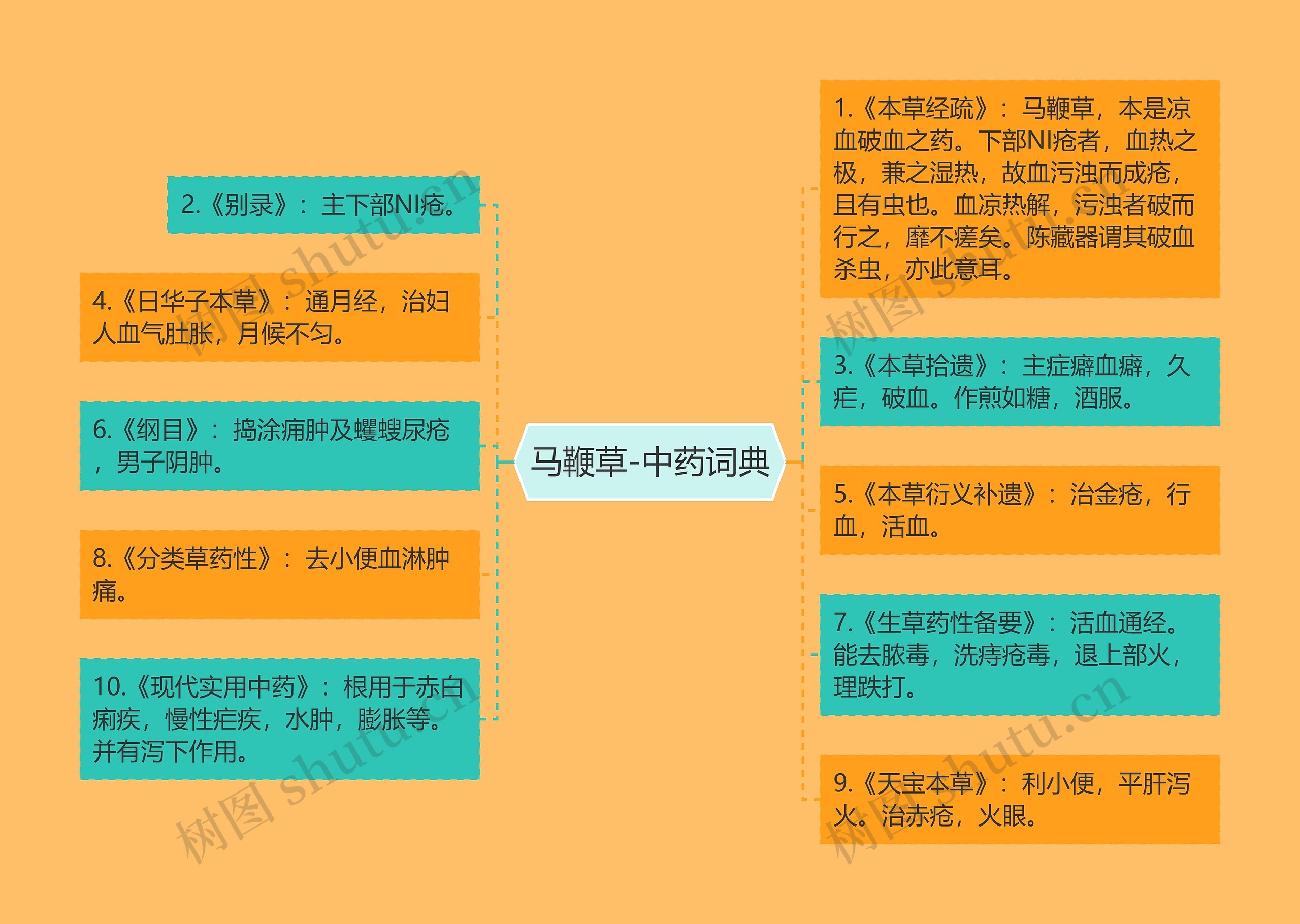 马鞭草-中药词典思维导图