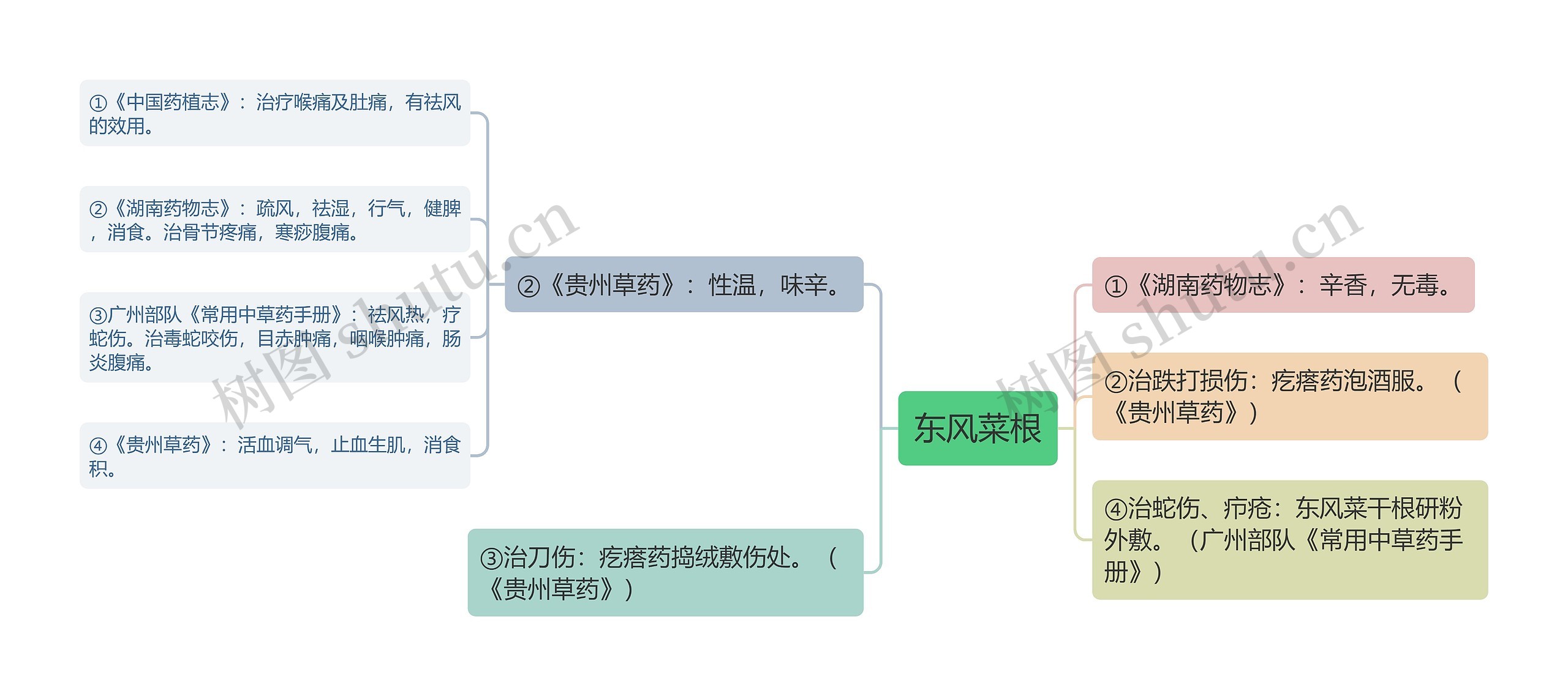 东风菜根思维导图