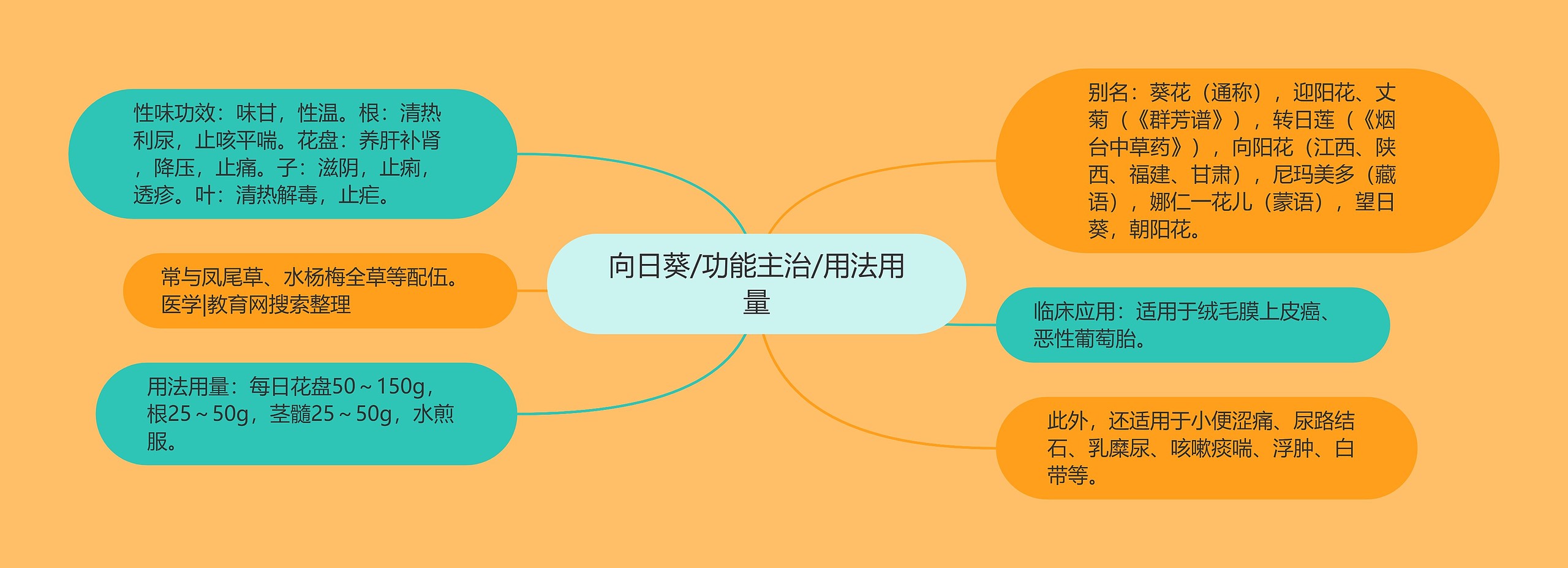 向日葵/功能主治/用法用量 向日葵/功能主治/用法用量