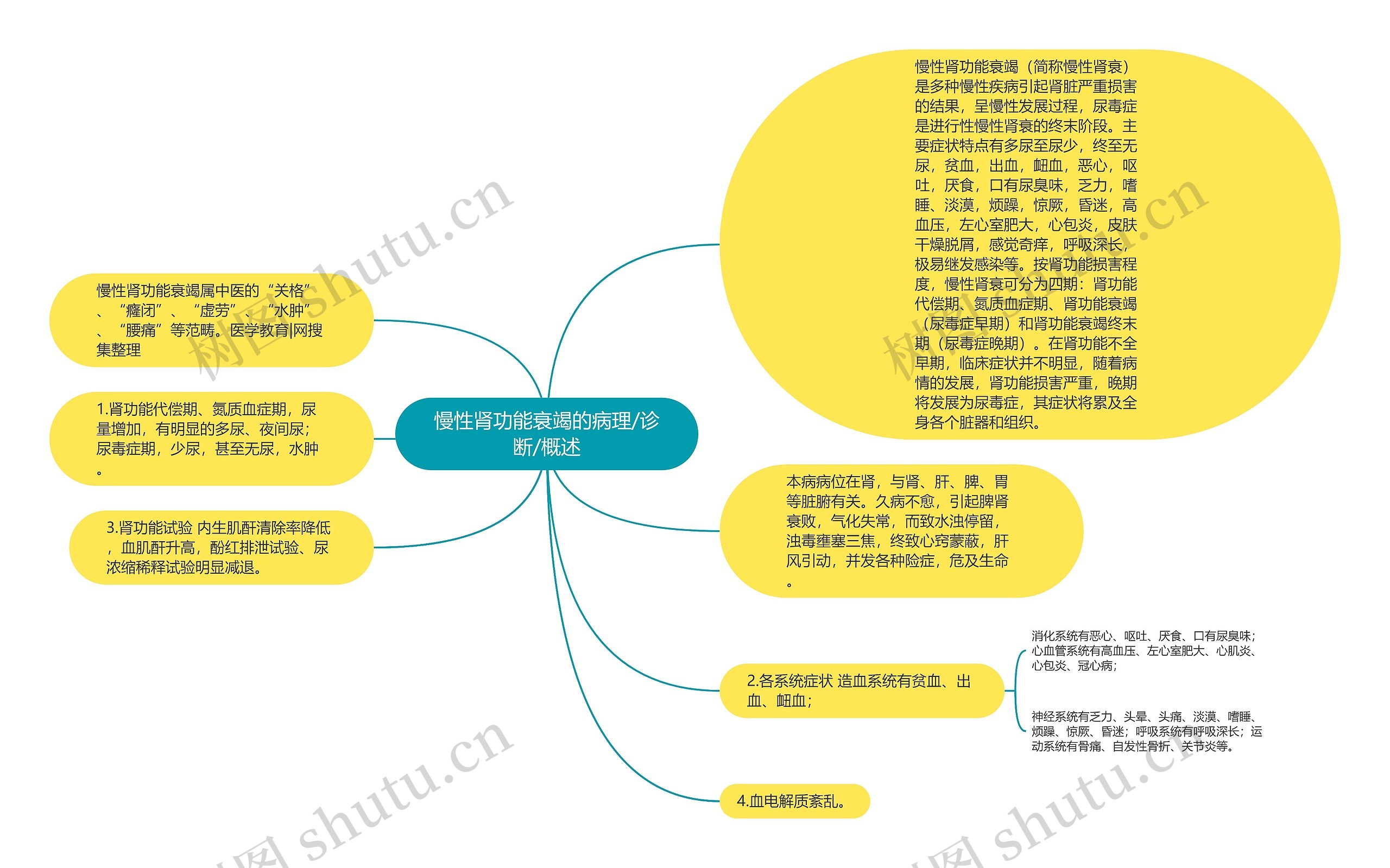 慢性肾功能衰竭的病理/诊断/概述