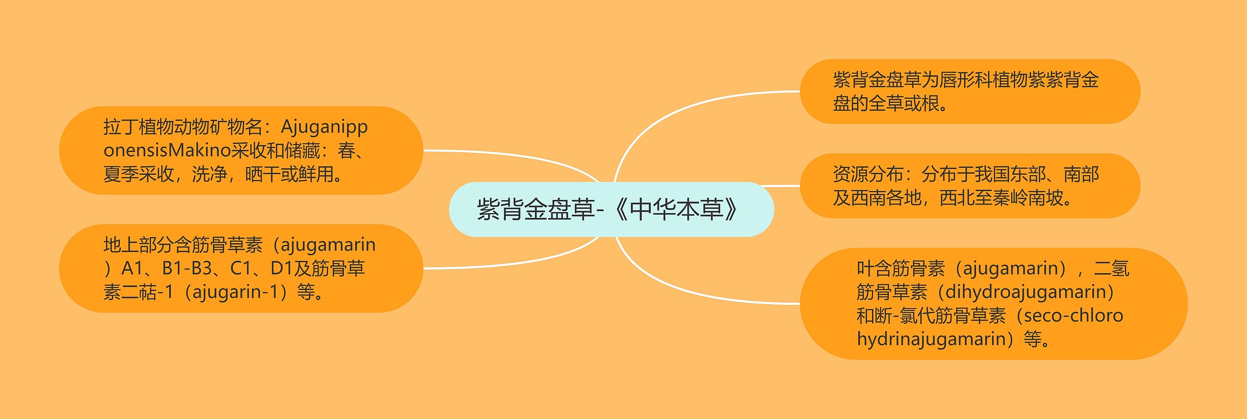 紫背金盘草-《中华本草》 紫背金盘草-《中华本草》