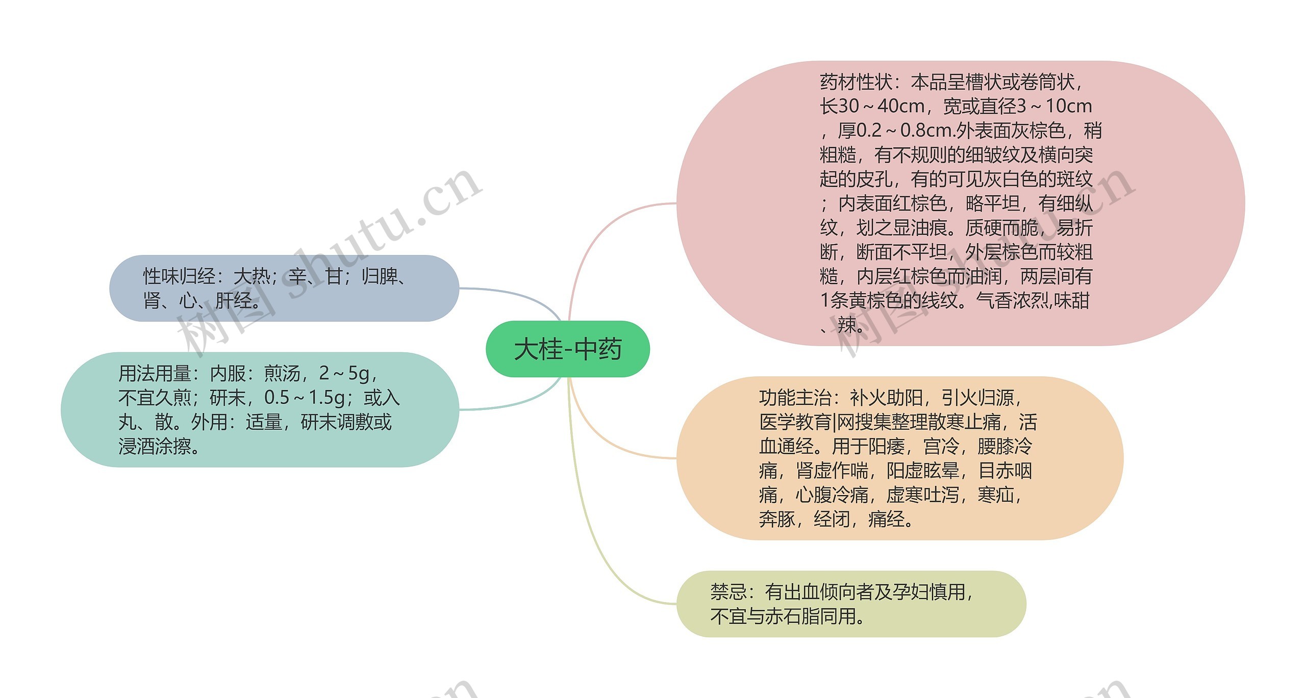 大桂-中药思维导图