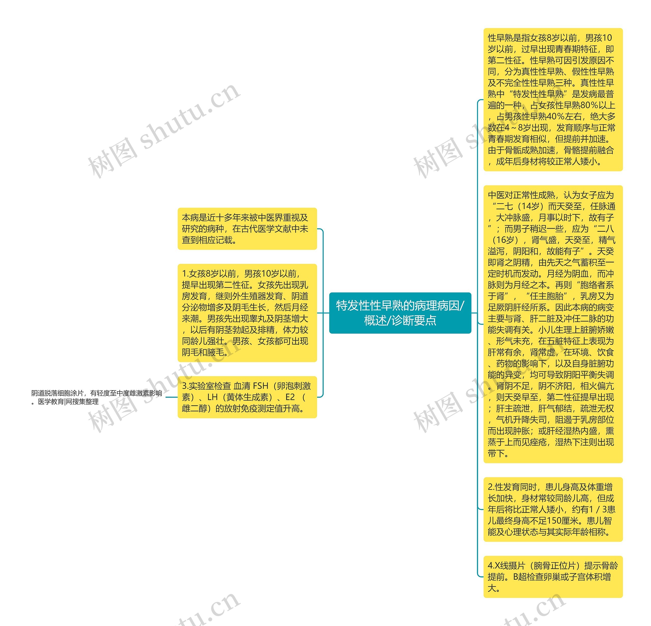 特发性性早熟的病理病因/概述/诊断要点思维导图